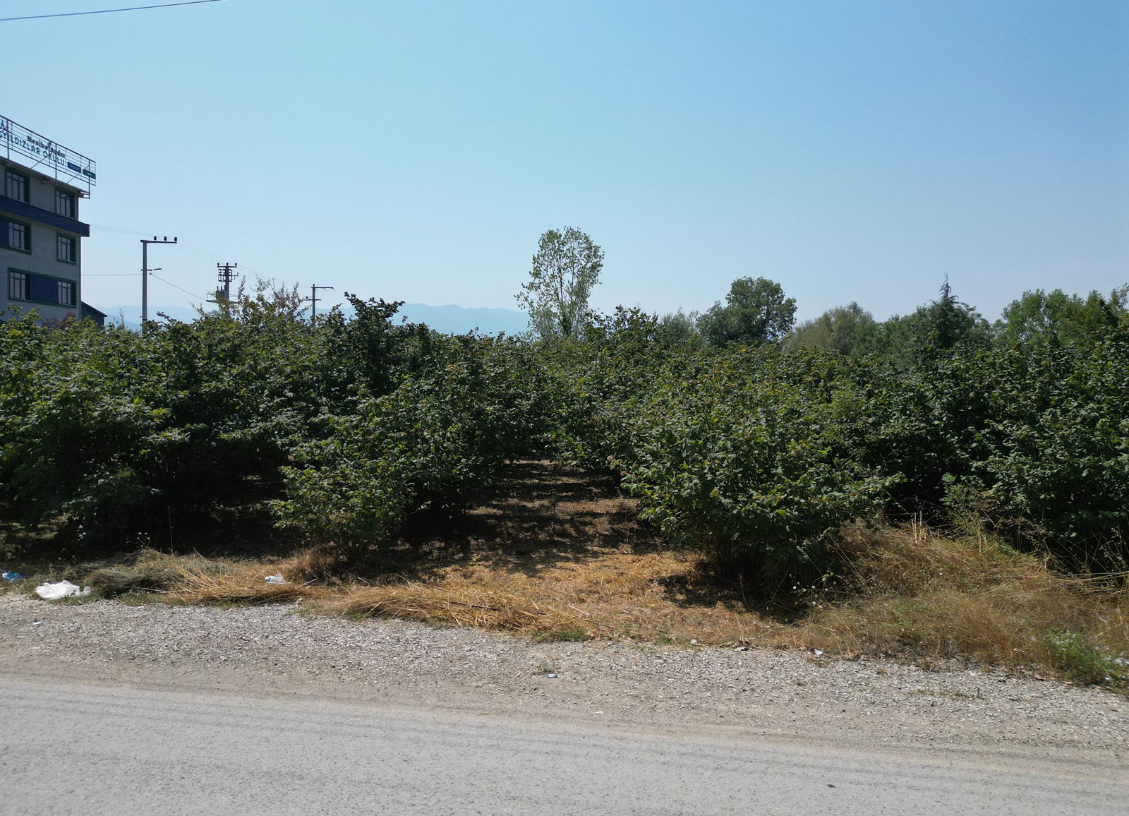 YAHYALAR MAHALLESİ'NDE 1978 M2 SATILIK ARSA