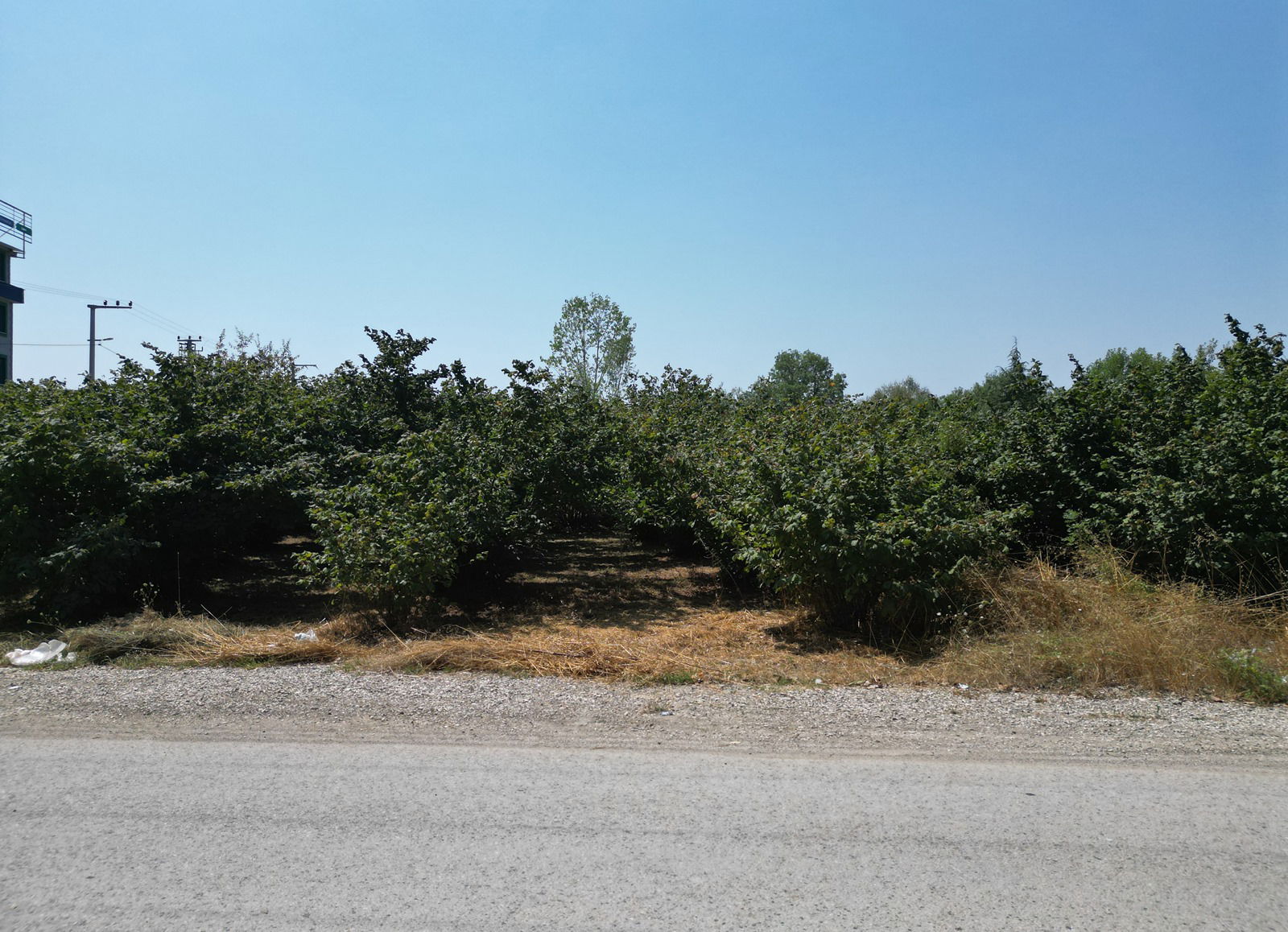 YAHYALAR MAHALLESİ'NDE 1978 M2 SATILIK ARSA