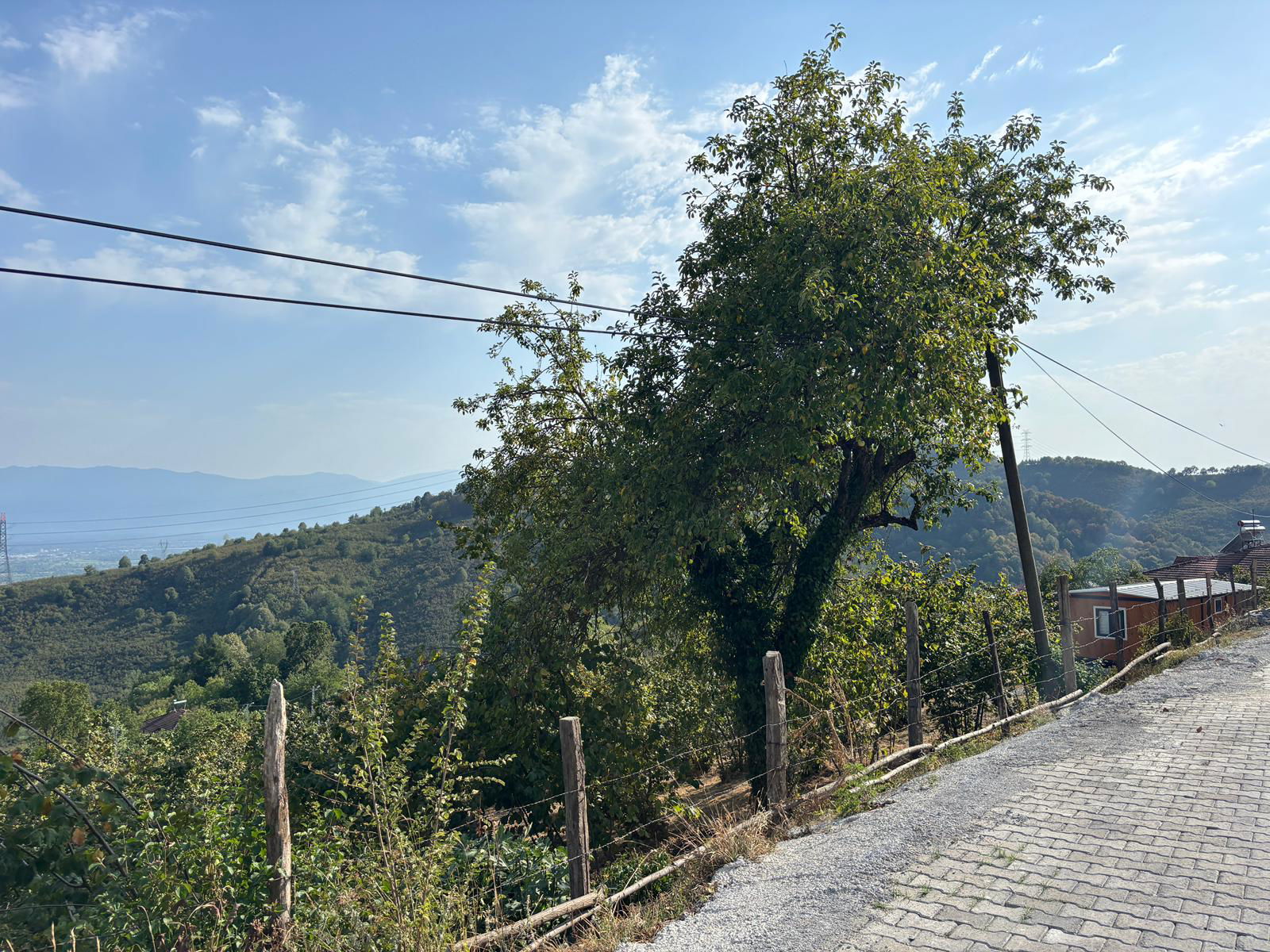 Satılık Arsa 9,750,000 TL