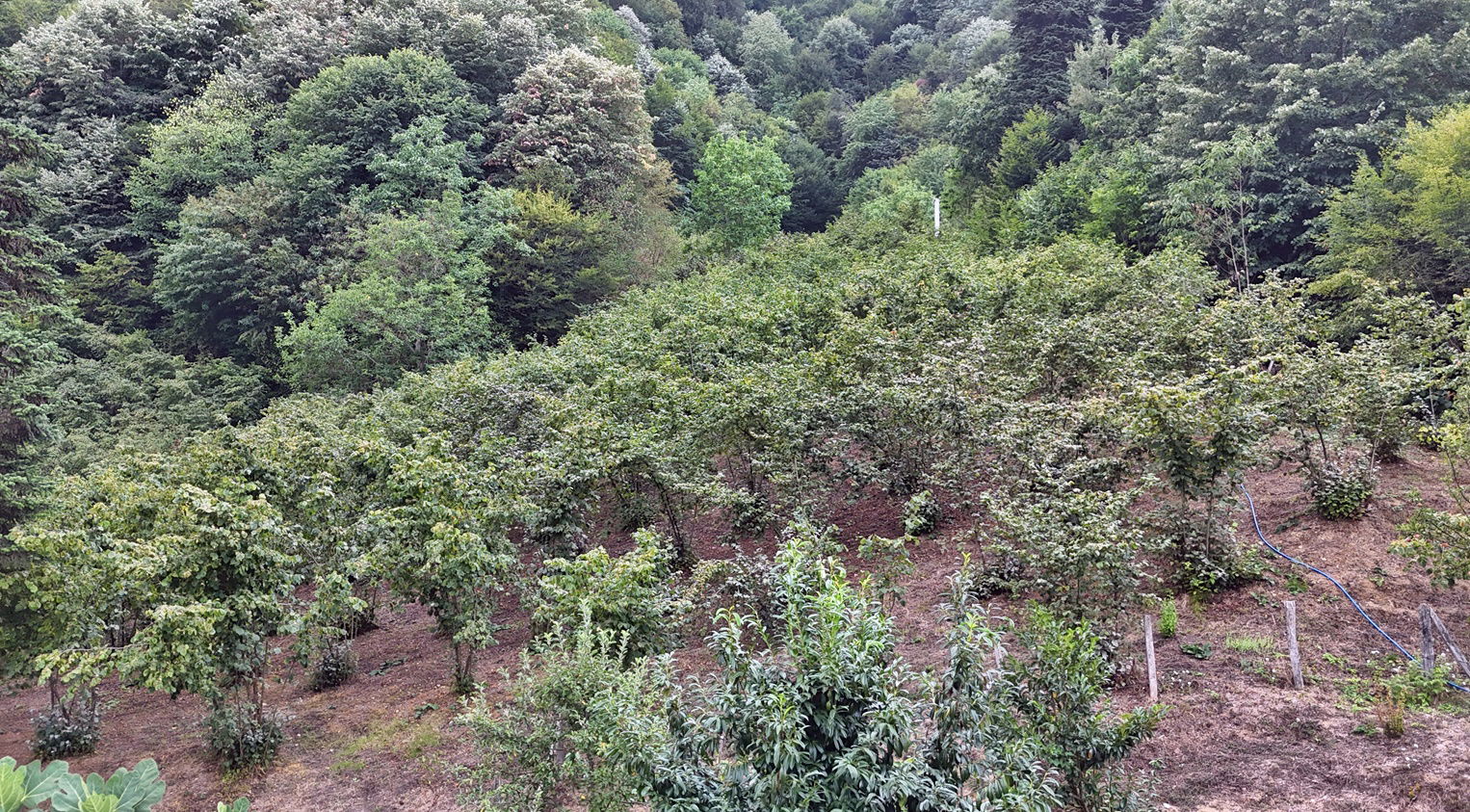 Satılık Arsa 2,200,000 TL