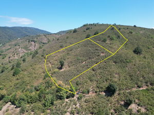 Düzce  Satılık  Arsa