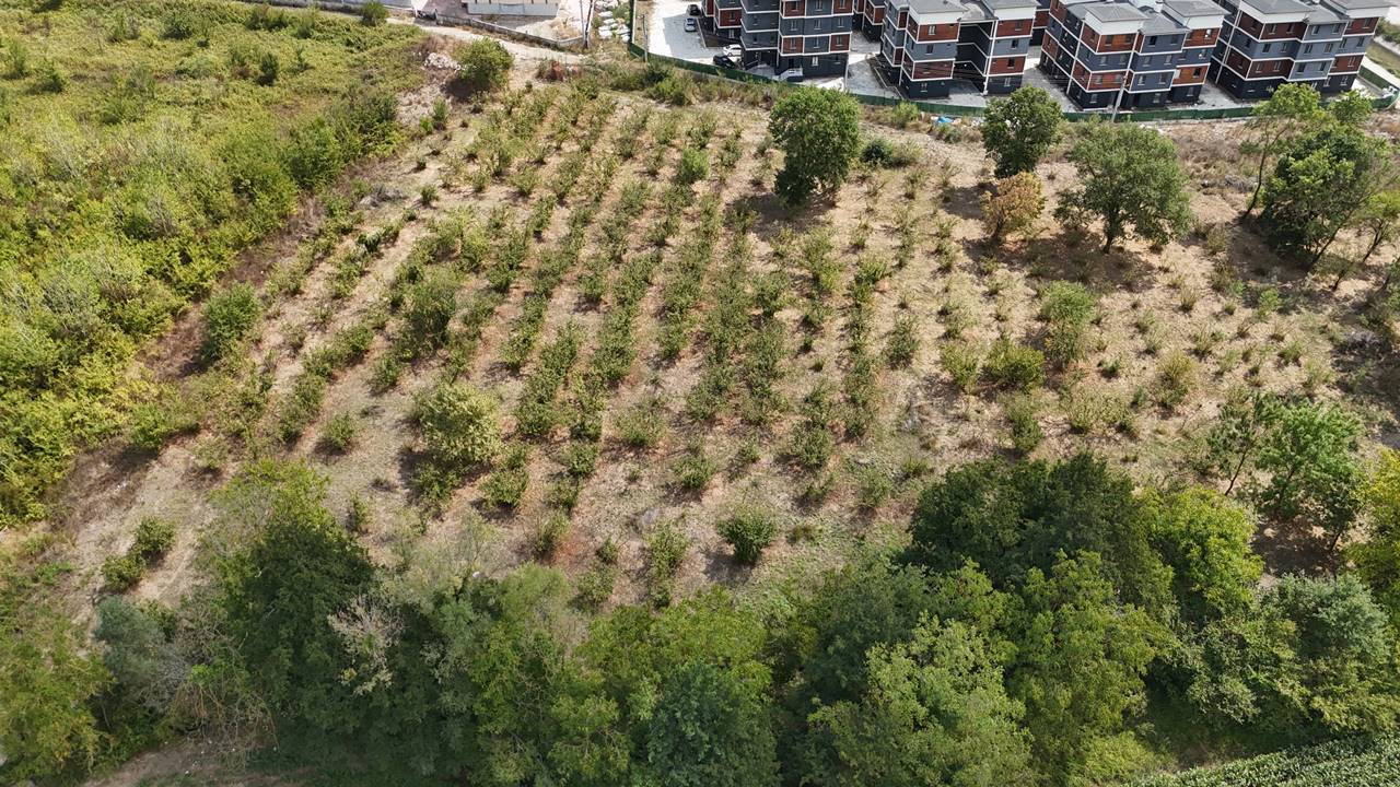Satılık Arsa 7,500,000 TL