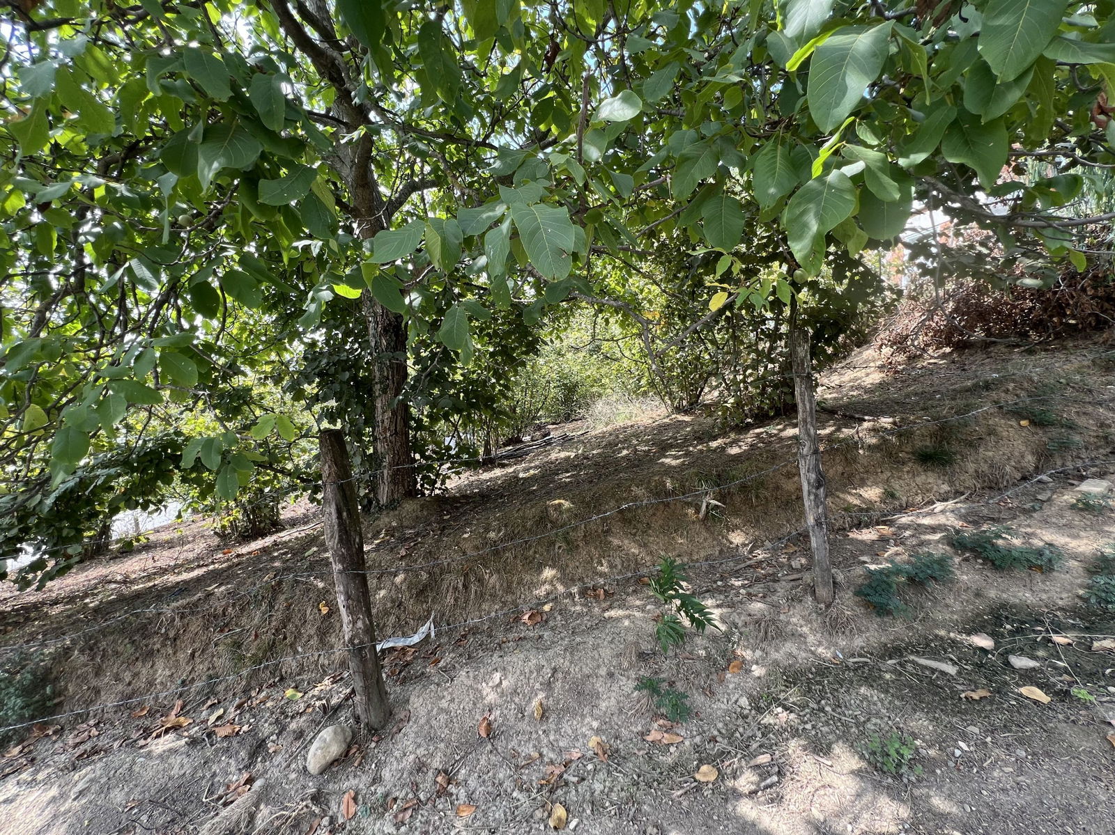 Satılık Arsa 5,350,000 TL