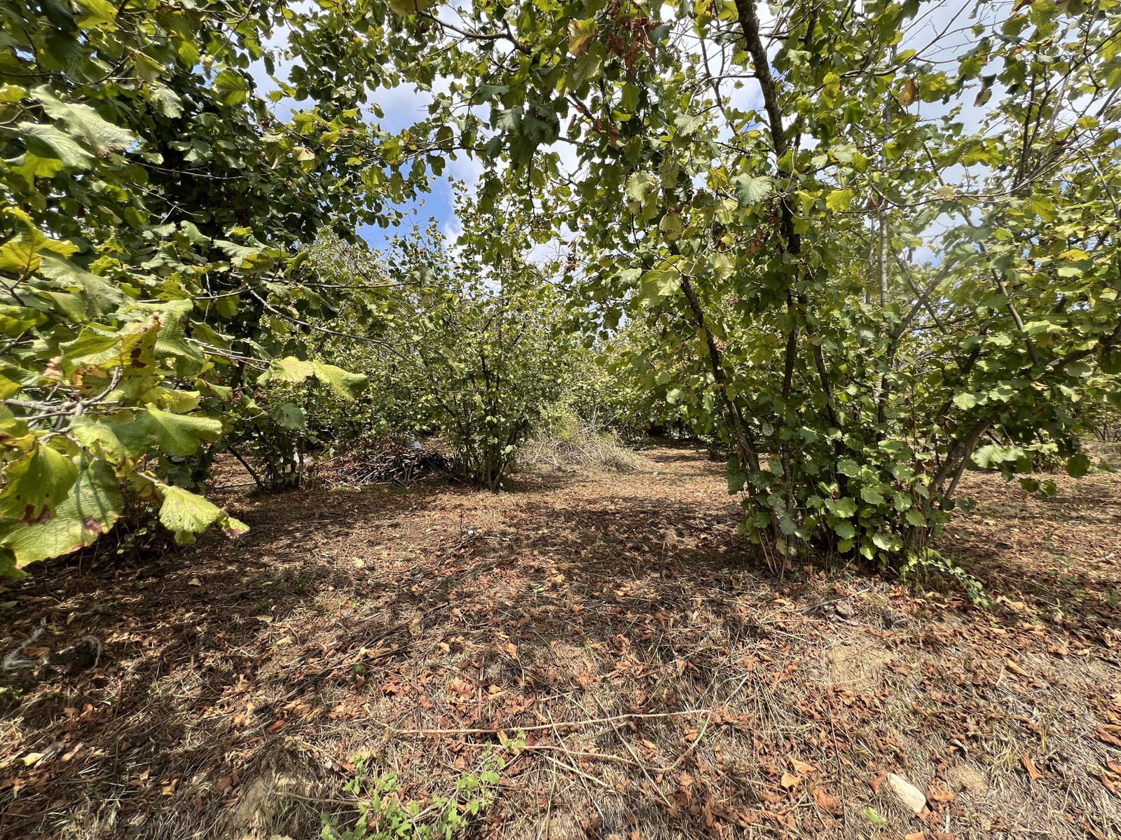 Satılık Arsa 5,350,000 TL