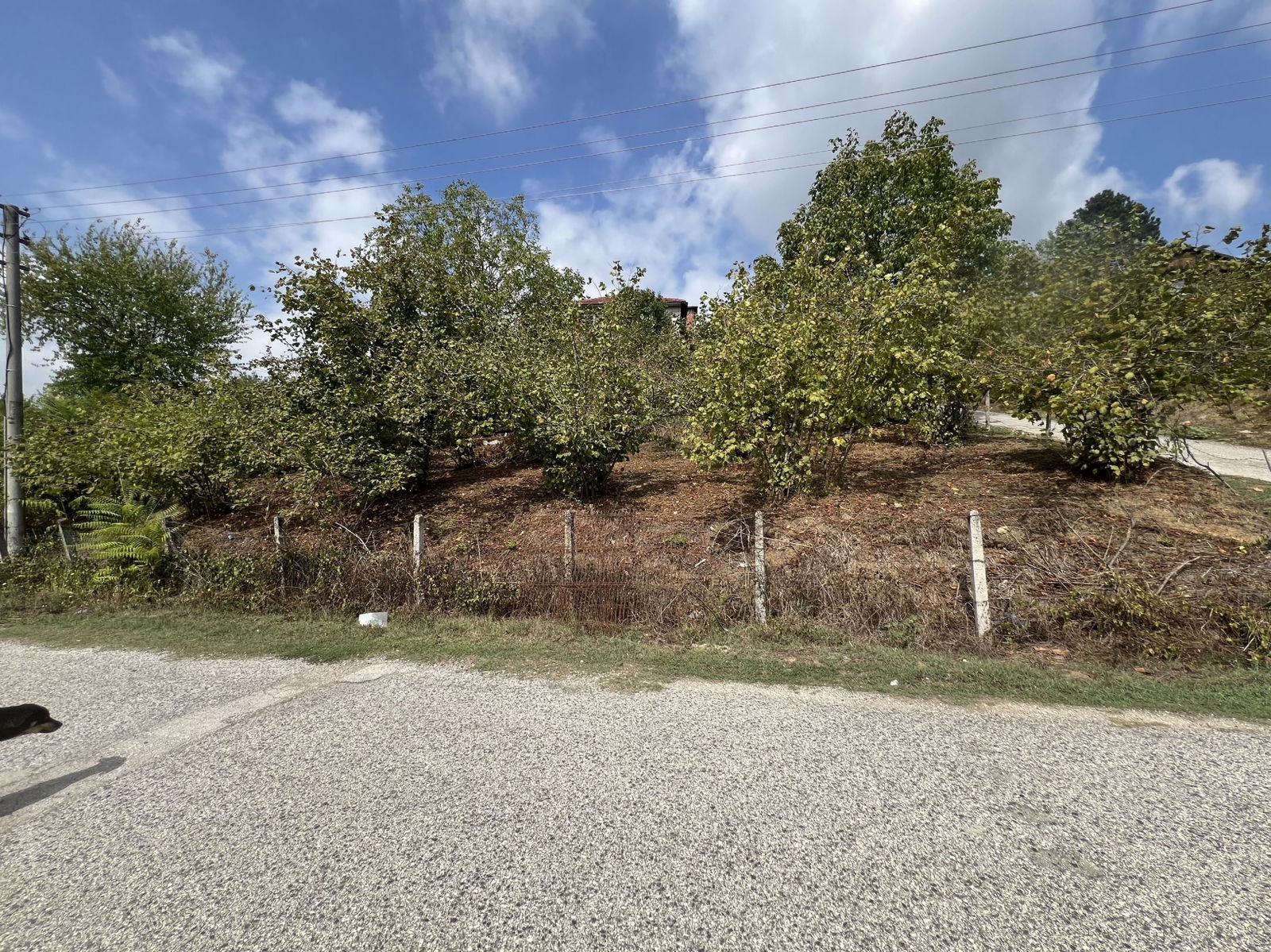 Satılık Arsa 5,350,000 TL