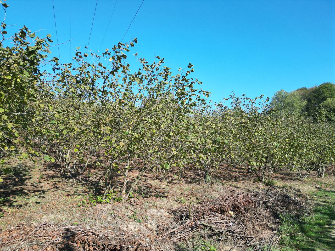 Satılık Arsa 1,350,000 TL