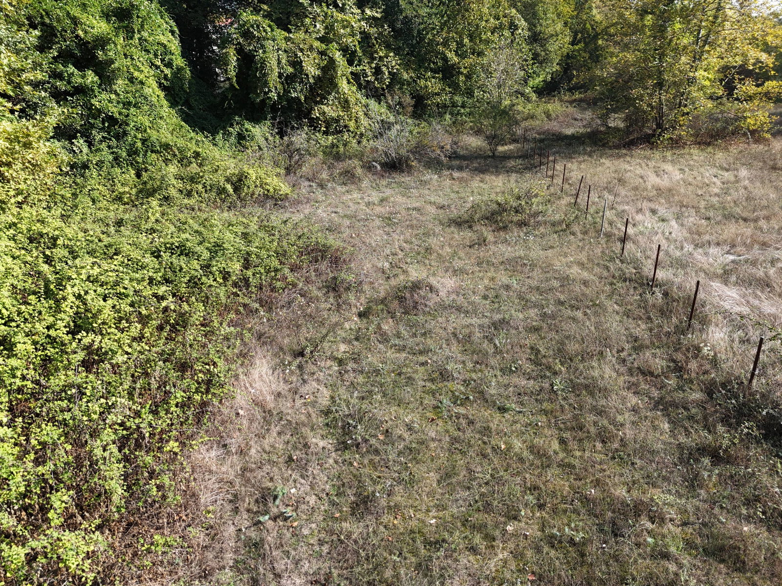 GÖLYAKA HACISÜLEYMANBEY KÖYÜ'NDE  2011 M2 SATILIK ARSA