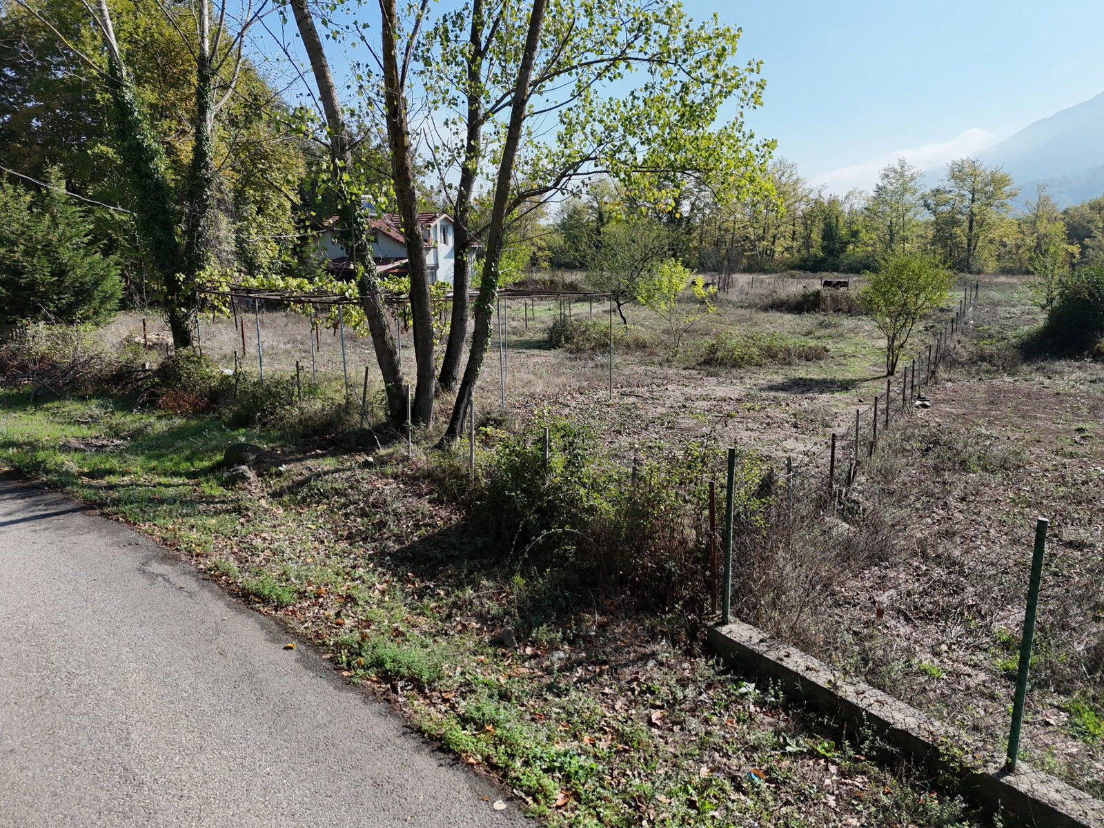 GÖLYAKA HACISÜLEYMANBEY KÖYÜ'NDE  2011 M2 SATILIK ARSA