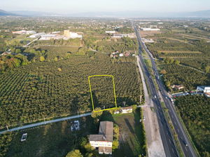 Düzce  Satılık  Arsa