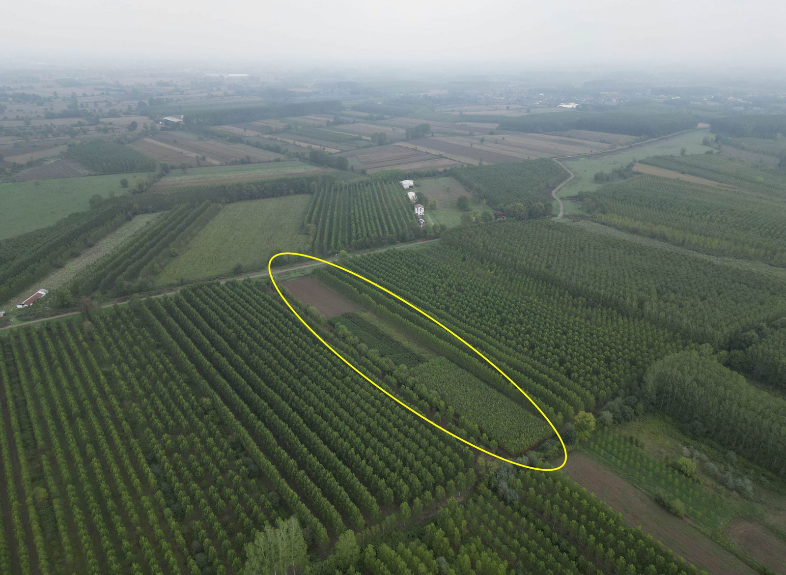 Satılık Arsa 4,675,000 TL