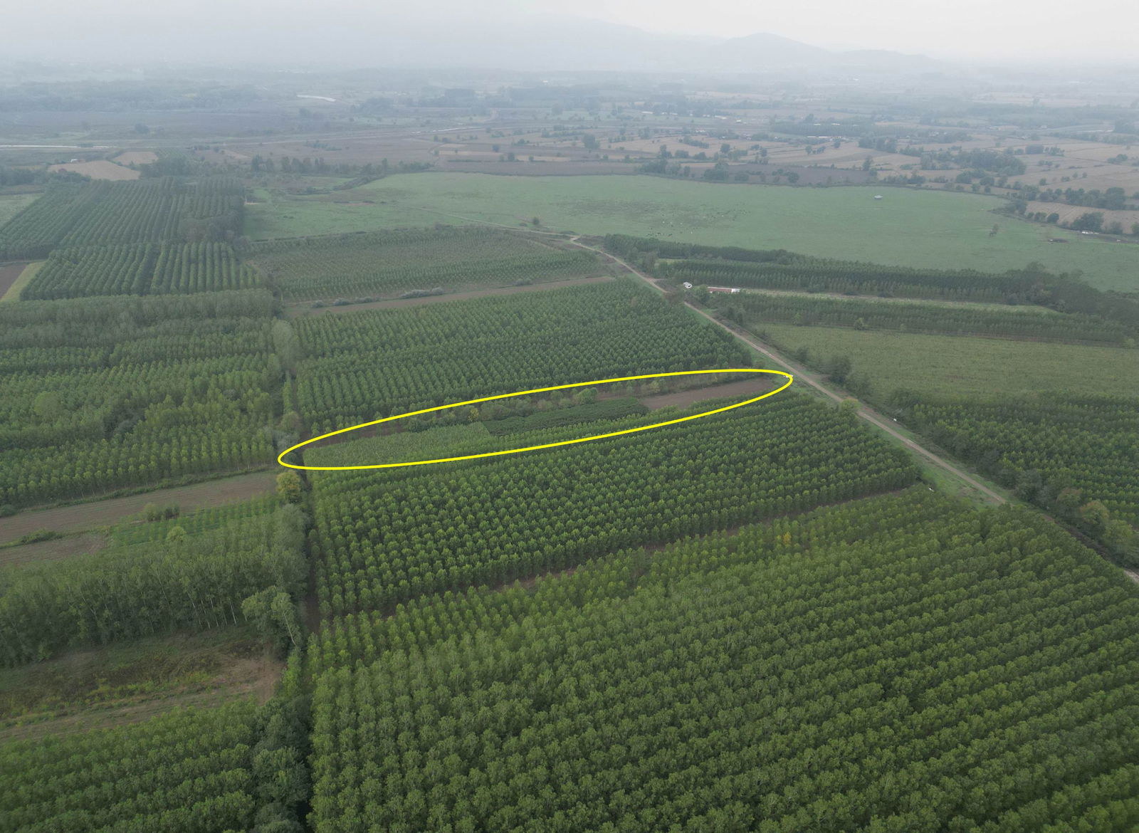 Satılık Arsa 4,675,000 TL