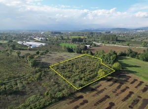 Düzce  Satılık  Arsa