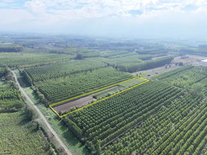 Düzce  Satılık  Arsa