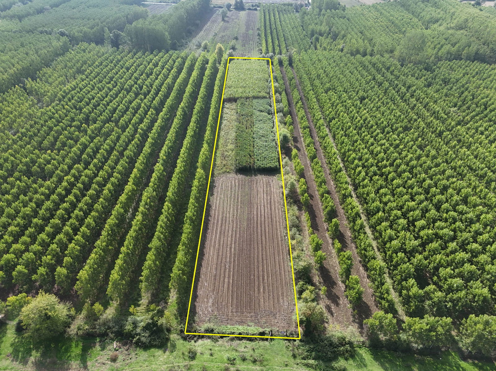 Satılık Arsa 5,300,000 TL