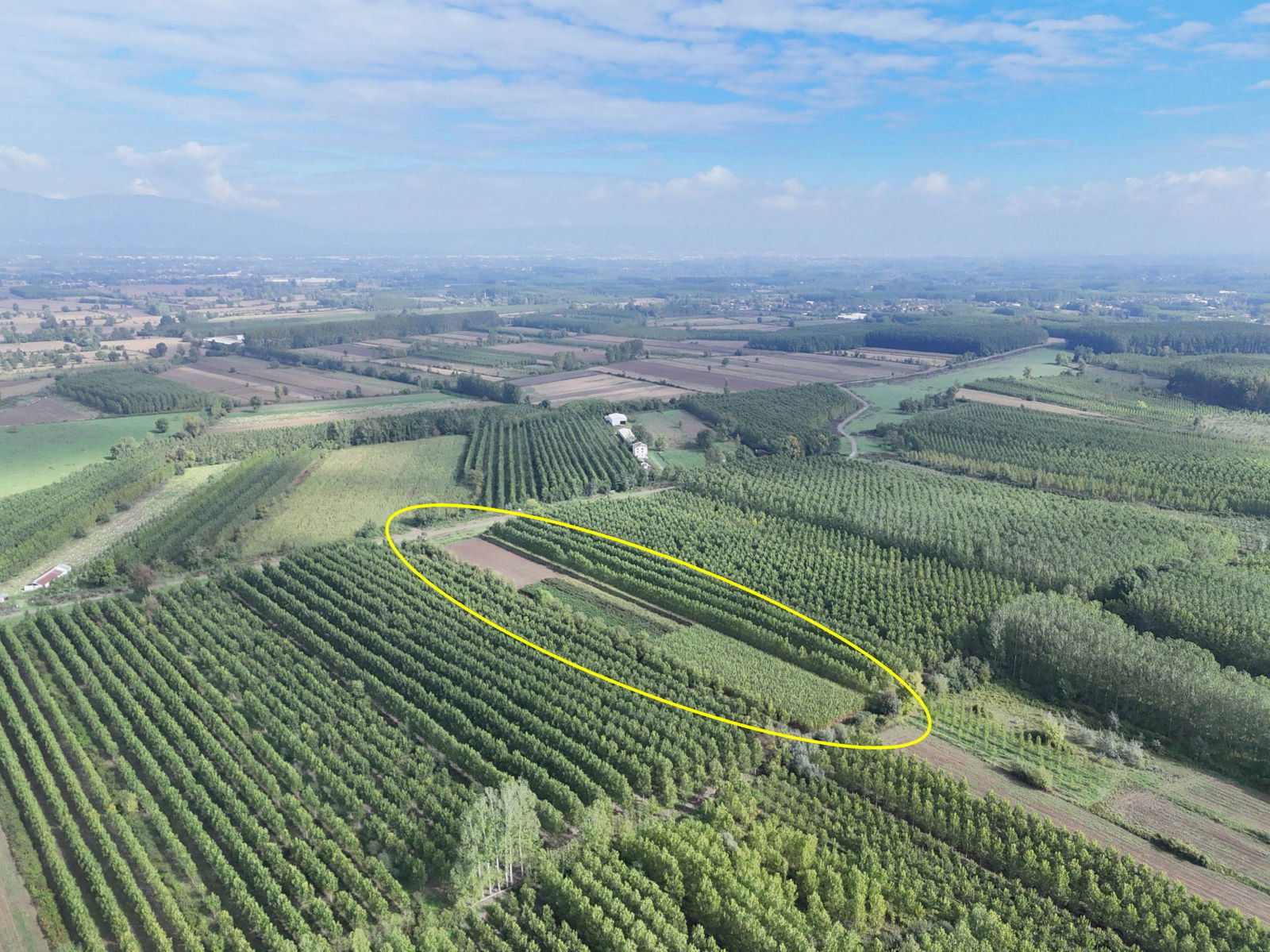 Satılık Arsa 5,300,000 TL