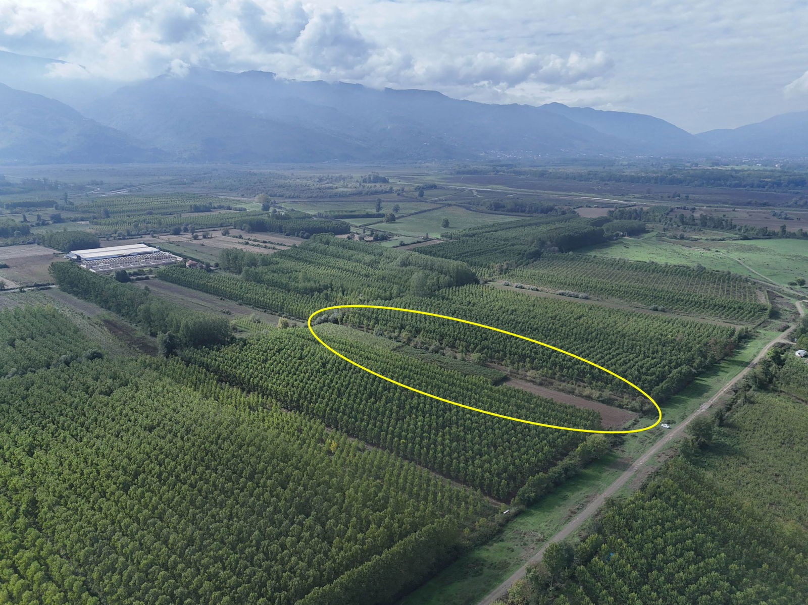 Satılık Arsa 5,300,000 TL