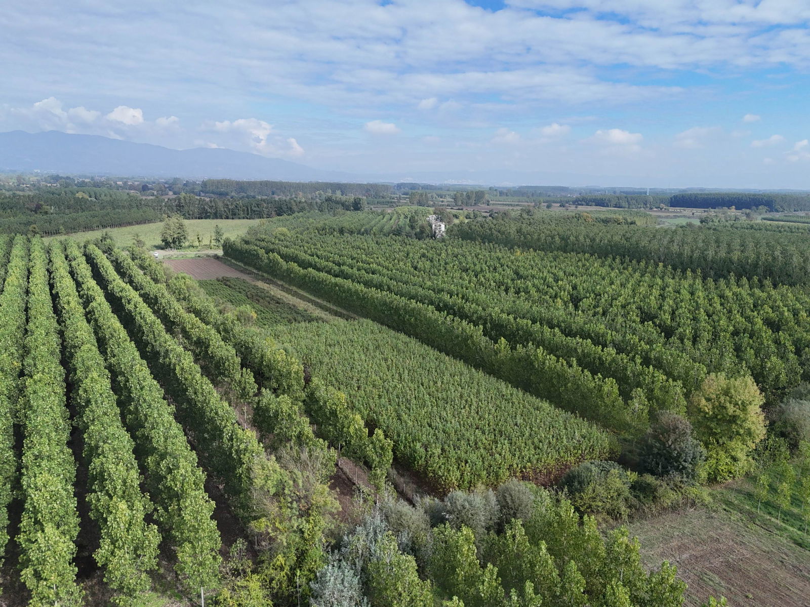 Satılık Arsa 5,300,000 TL