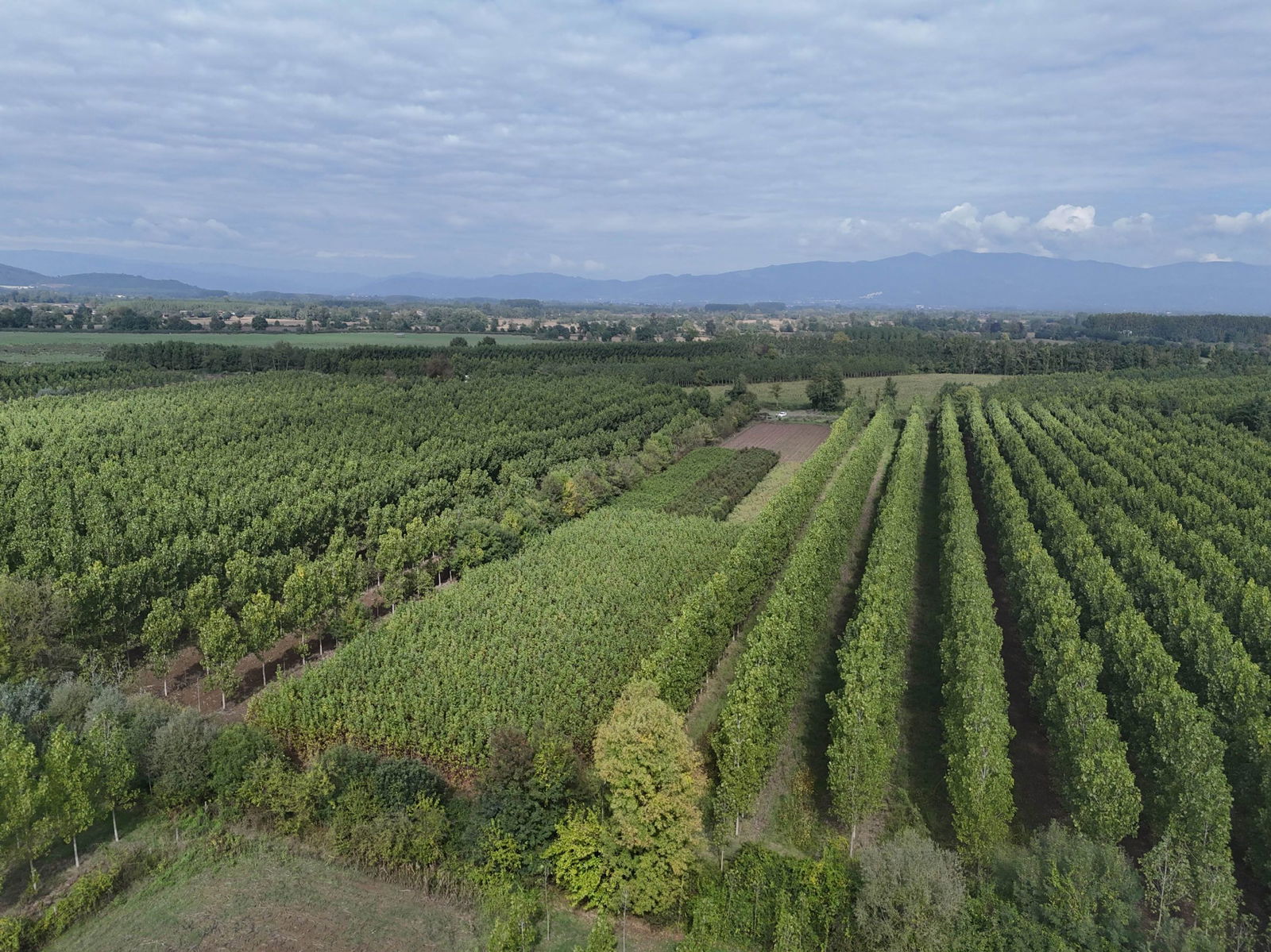 Satılık Arsa 5,300,000 TL