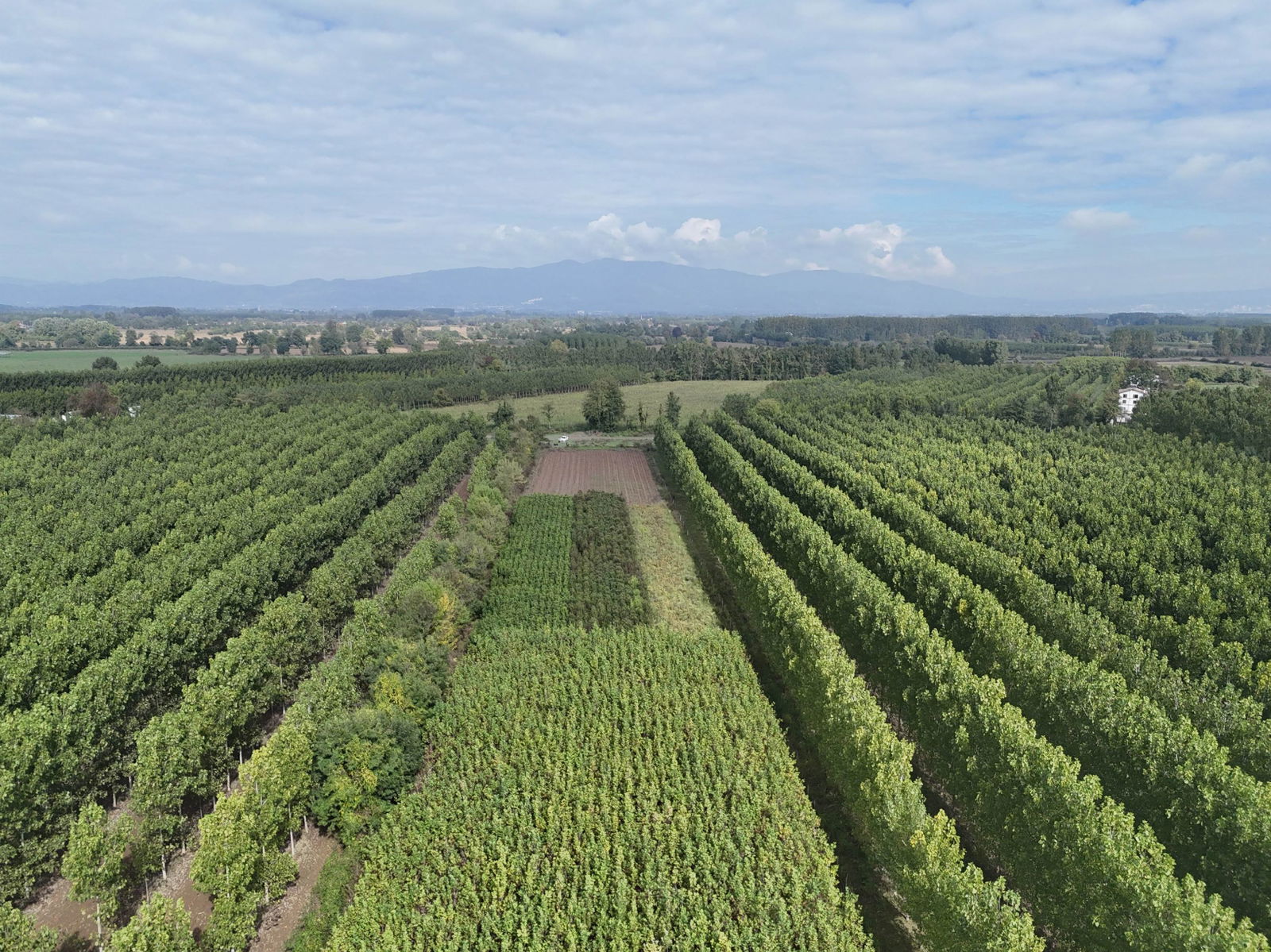 Satılık Arsa 5,300,000 TL