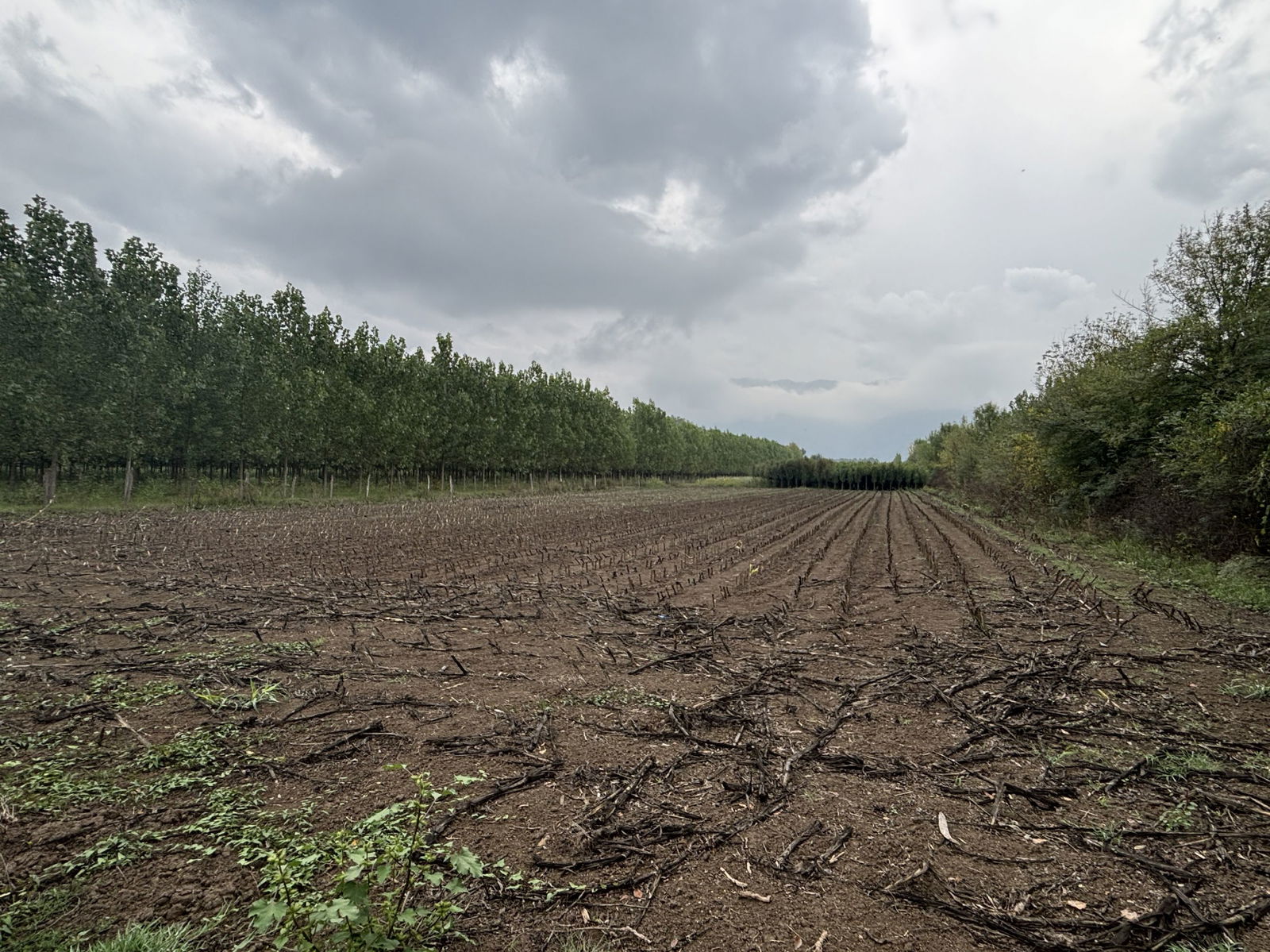 Satılık Arsa 5,300,000 TL