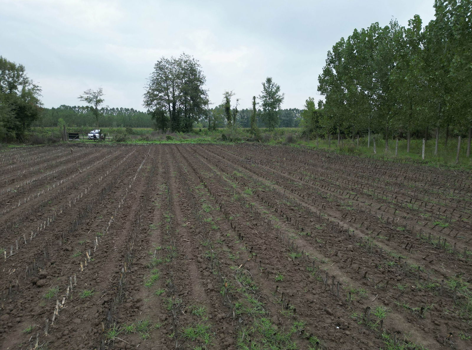 Satılık Arsa 5,300,000 TL