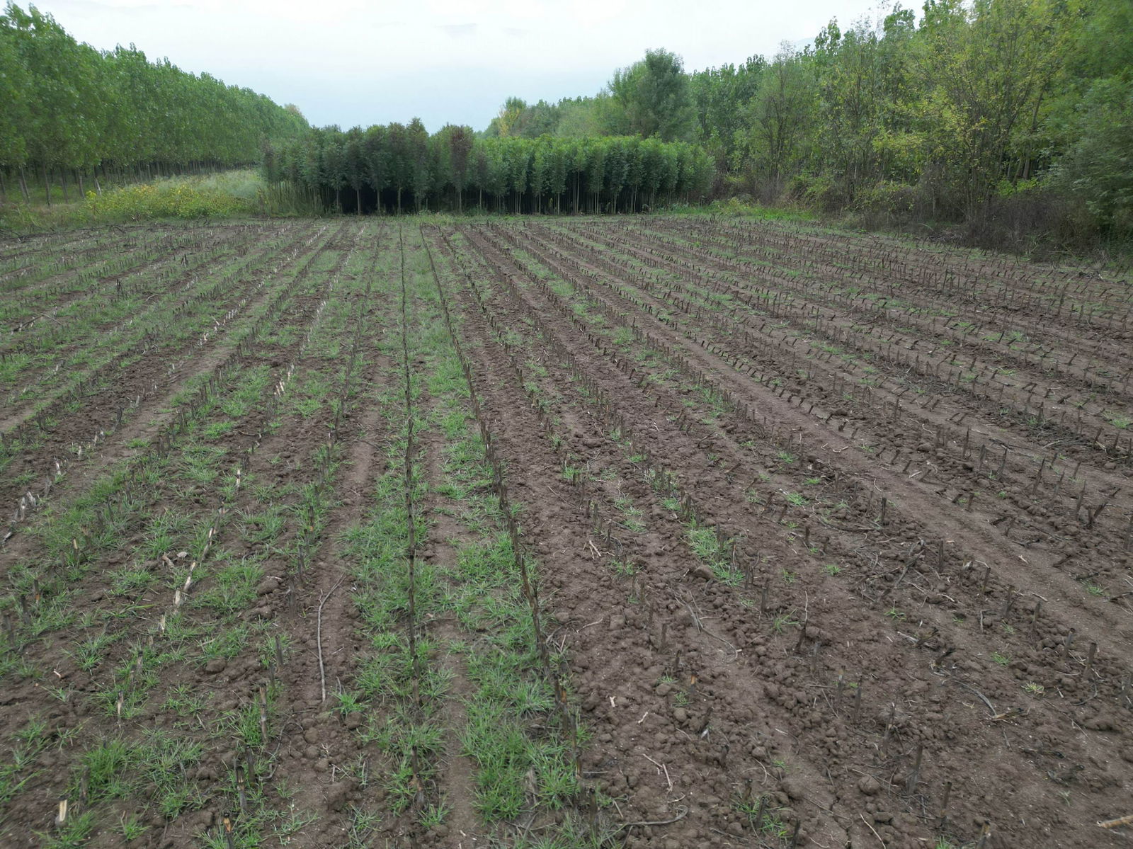 Satılık Arsa 5,300,000 TL