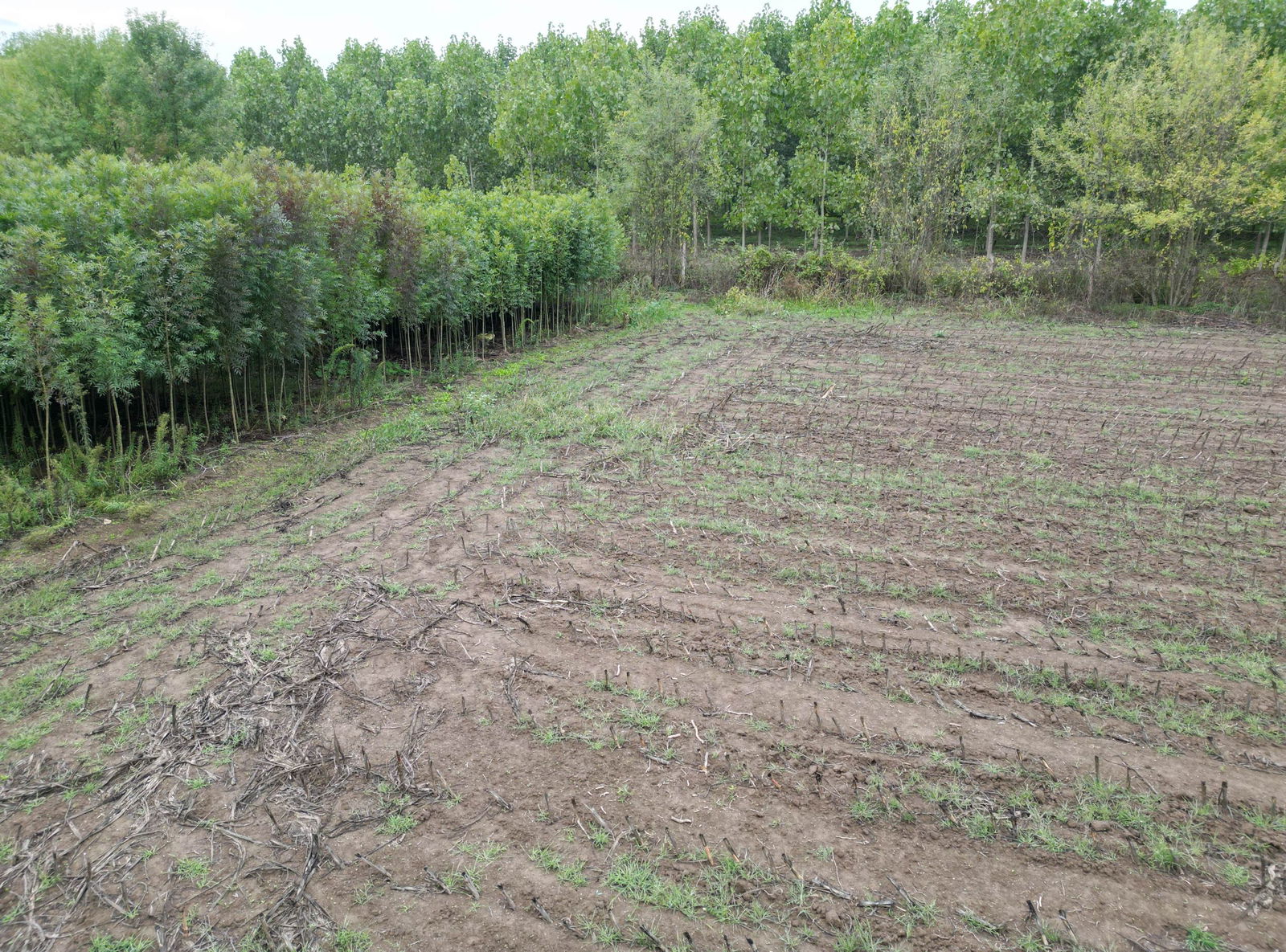 Satılık Arsa 5,300,000 TL