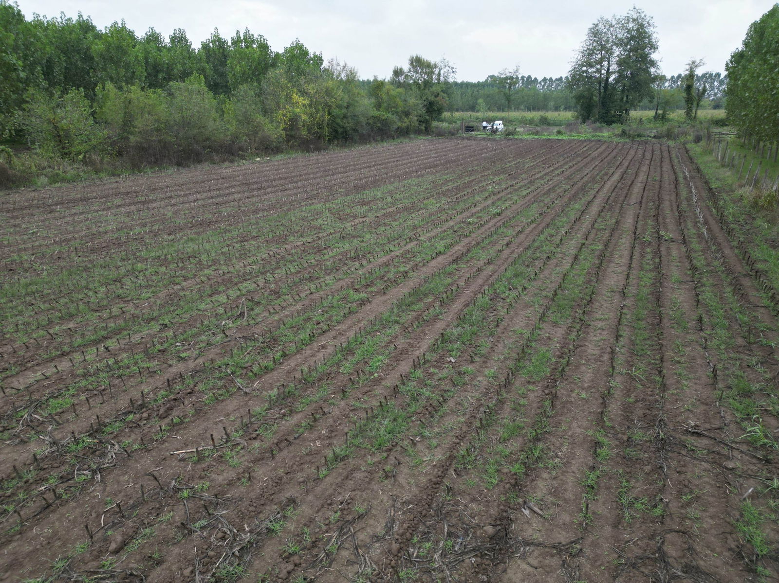 Satılık Arsa 5,300,000 TL