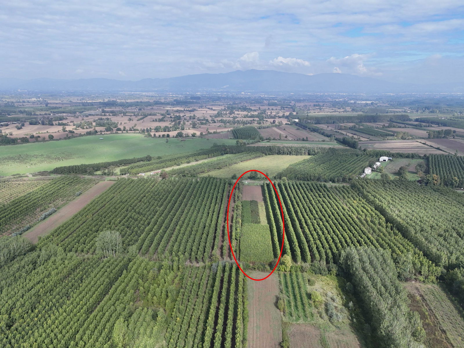 Satılık Arsa 5,300,000 TL