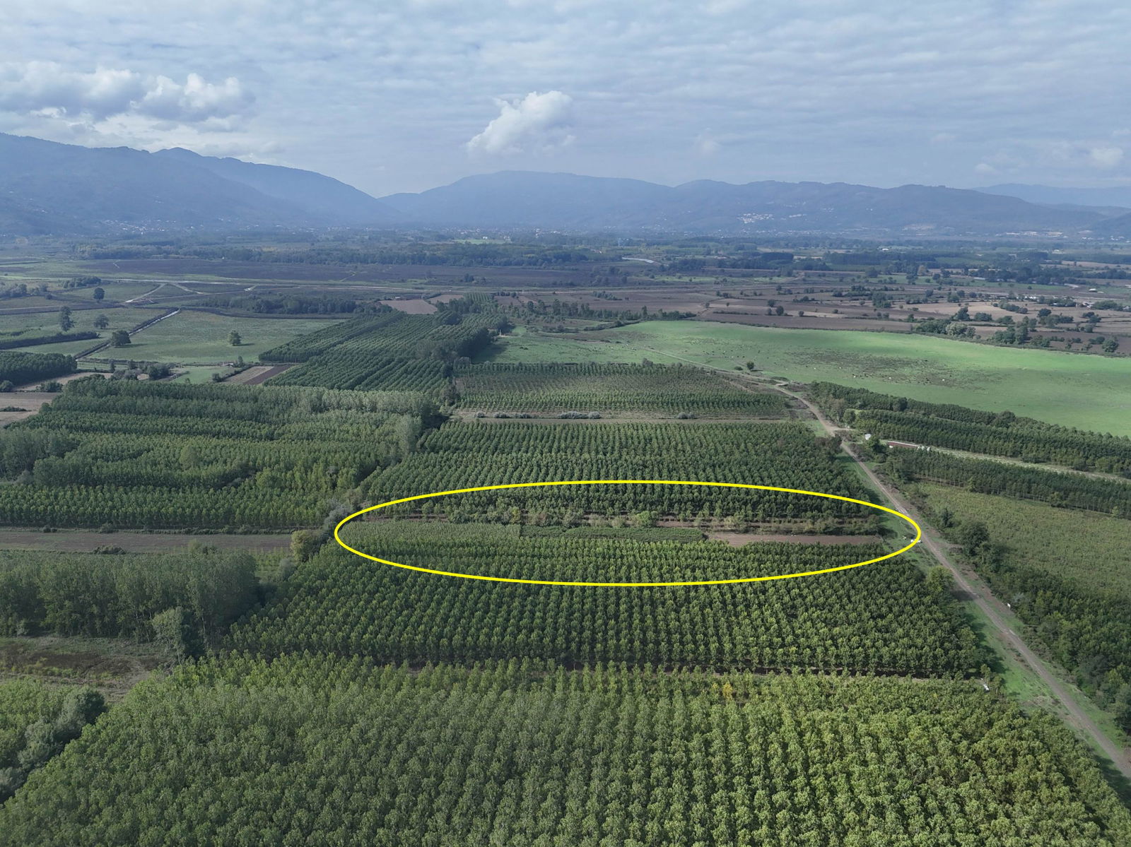 Satılık Arsa 5,300,000 TL