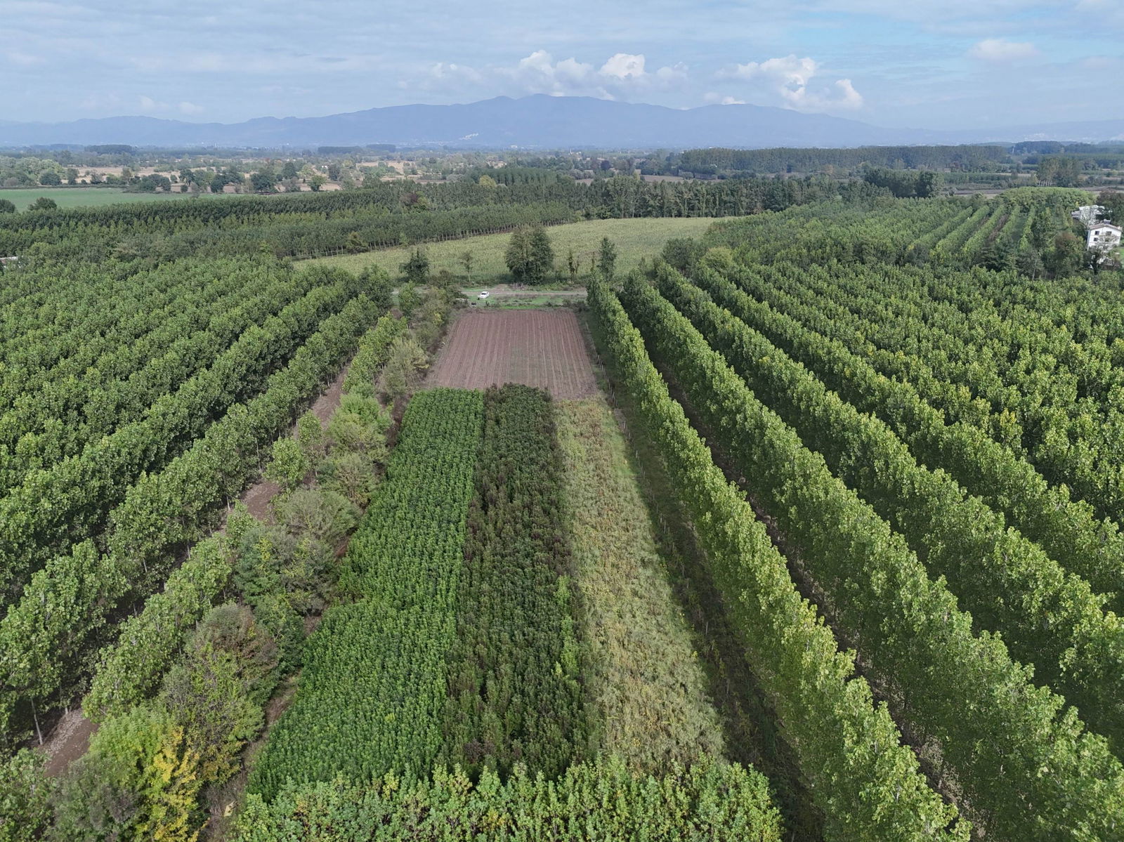 Satılık Arsa 5,300,000 TL