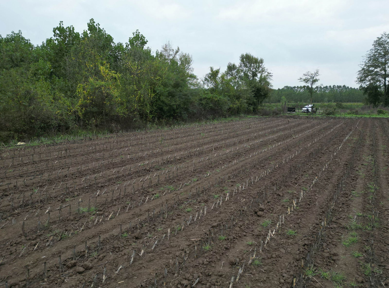 Satılık Arsa 5,300,000 TL