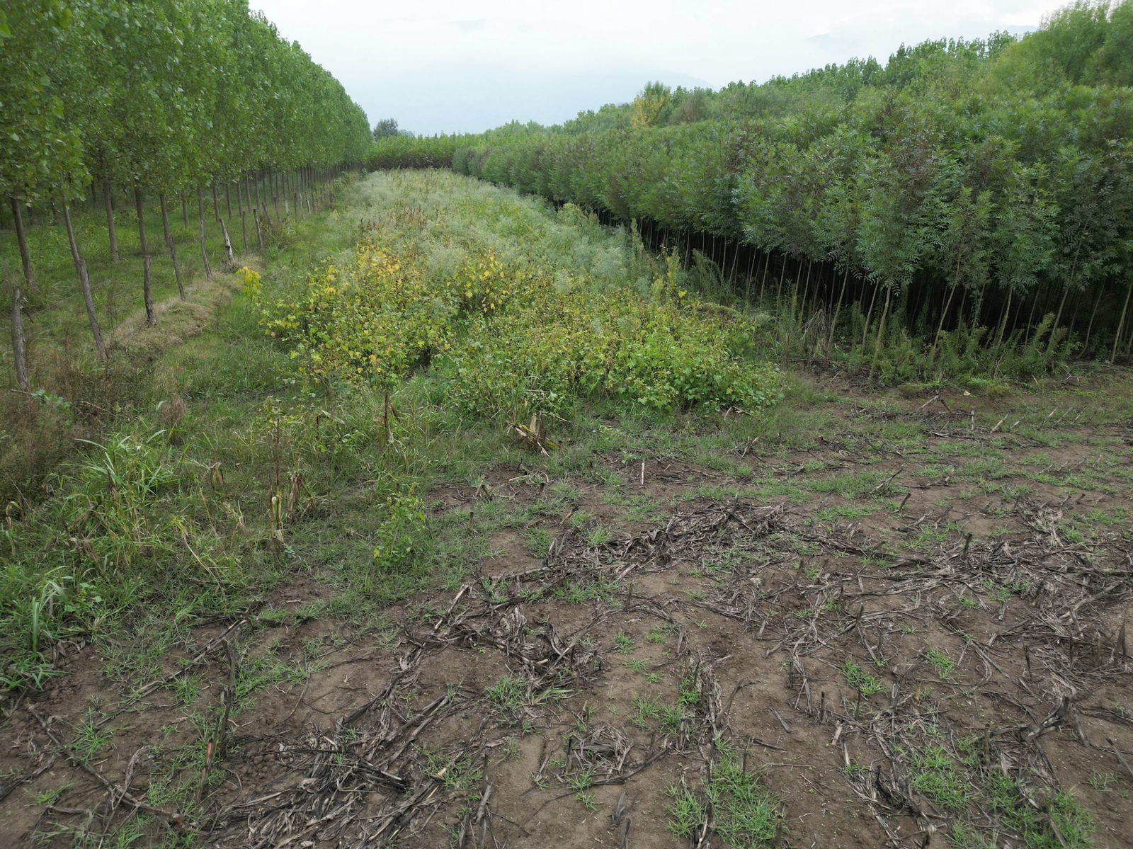 Satılık Arsa 5,300,000 TL