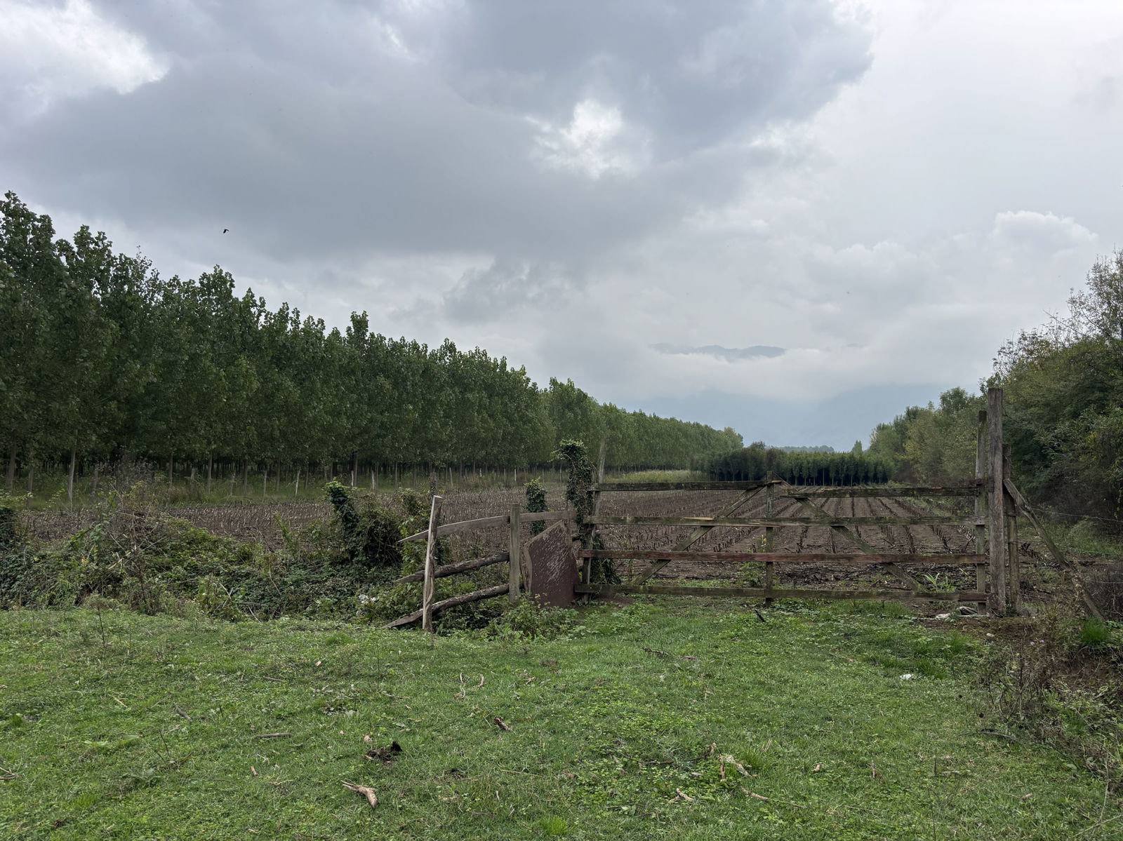 Satılık Arsa 5,300,000 TL