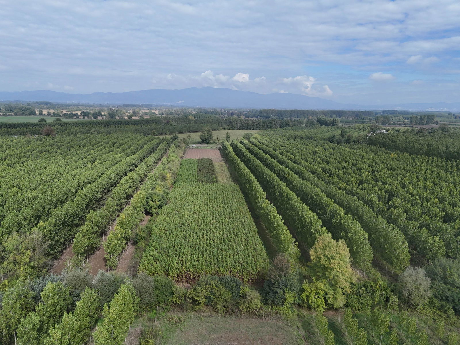 Satılık Arsa 5,300,000 TL