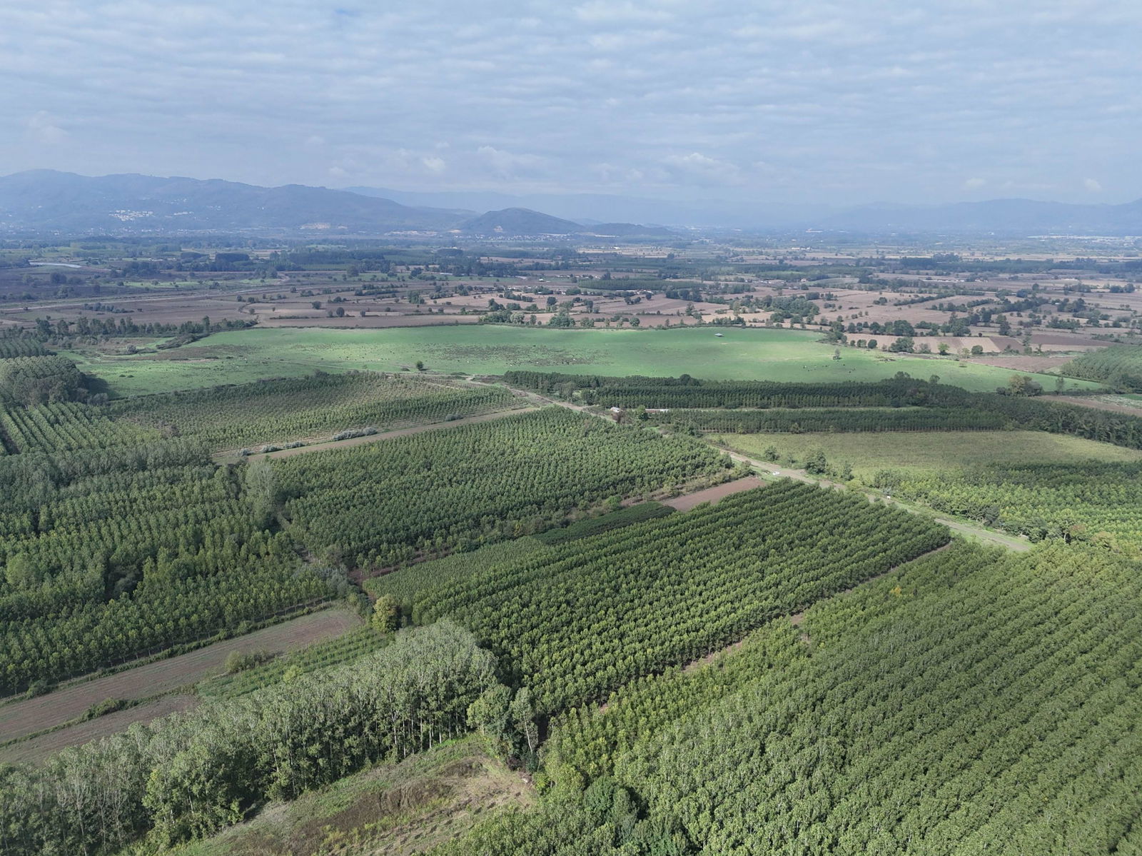 Satılık Arsa 5,300,000 TL