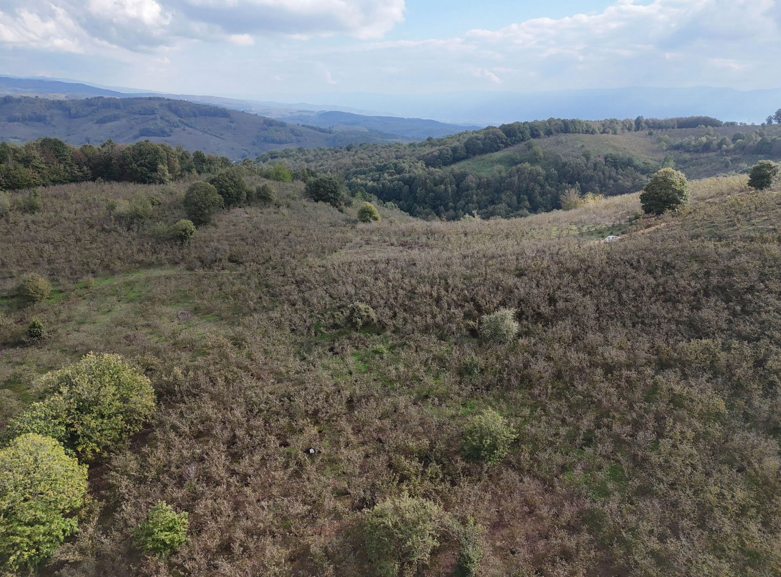 GÜLDERE KÖYÜ'NDE 5778 M2 SATILIK ARSA