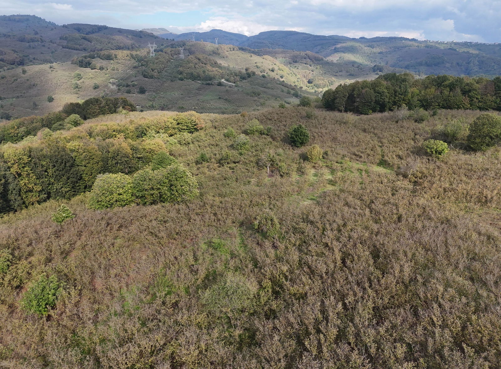 GÜLDERE KÖYÜ'NDE 5778 M2 SATILIK ARSA