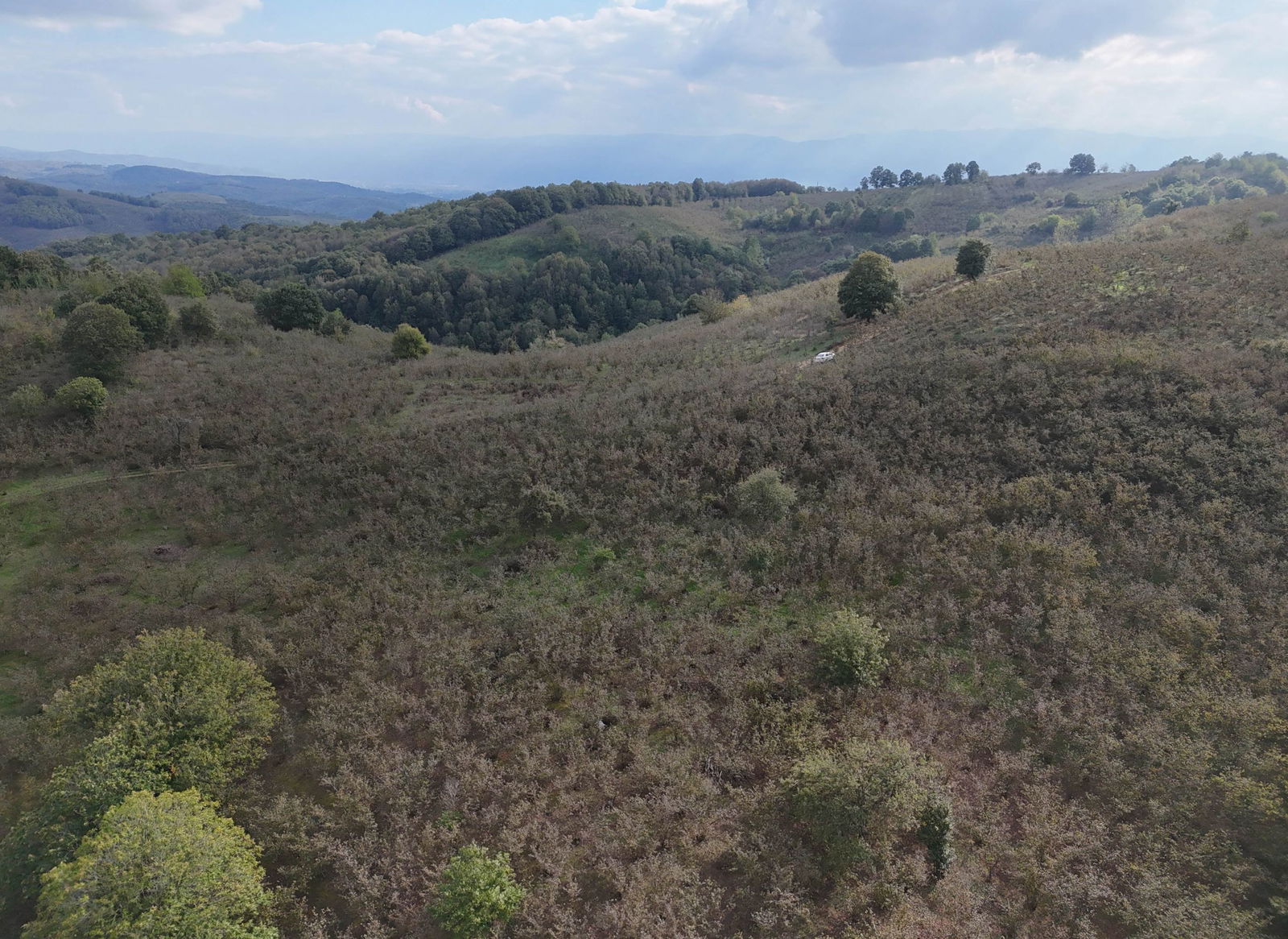 GÜLDERE KÖYÜ'NDE 5778 M2 SATILIK ARSA