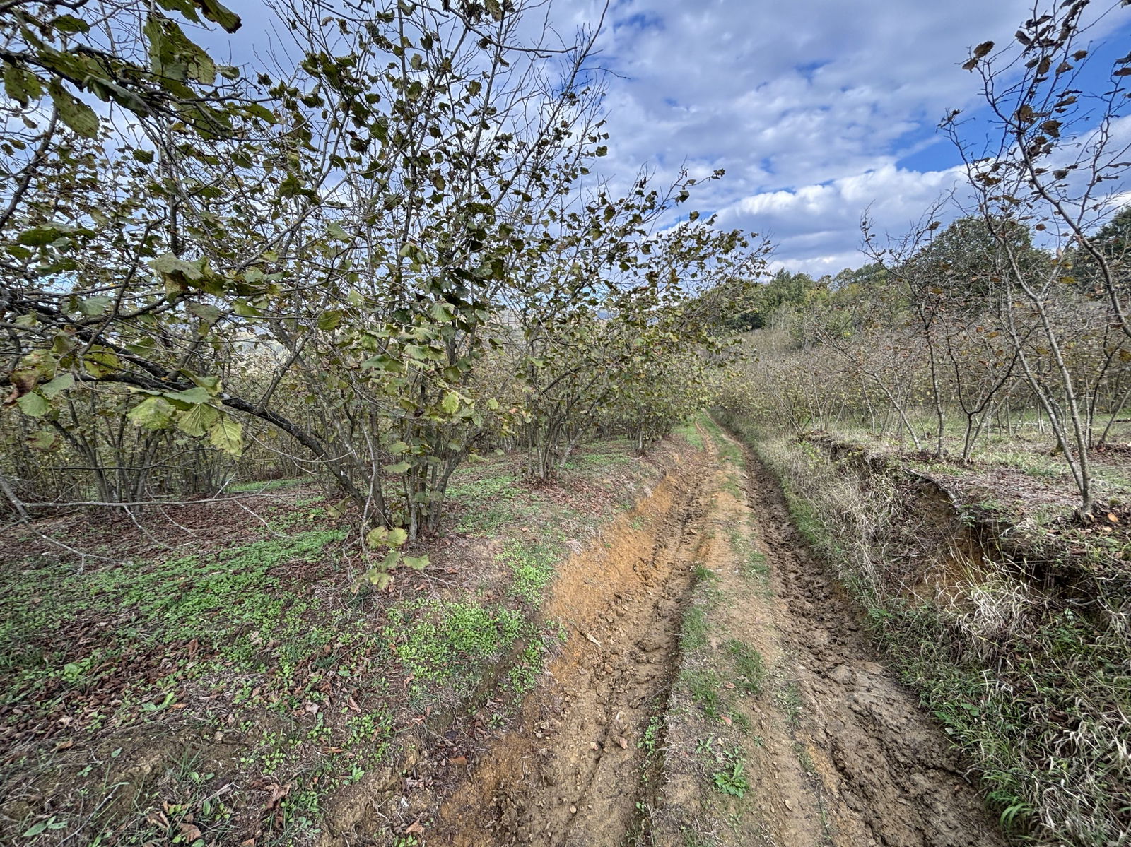 GÜLDERE KÖYÜ'NDE 5778 M2 SATILIK ARSA