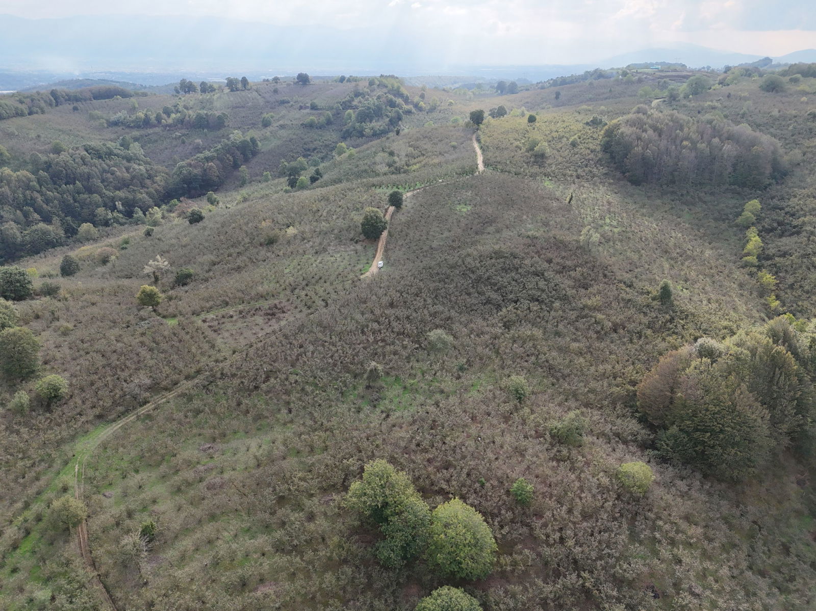 GÜLDERE KÖYÜ'NDE 5778 M2 SATILIK ARSA