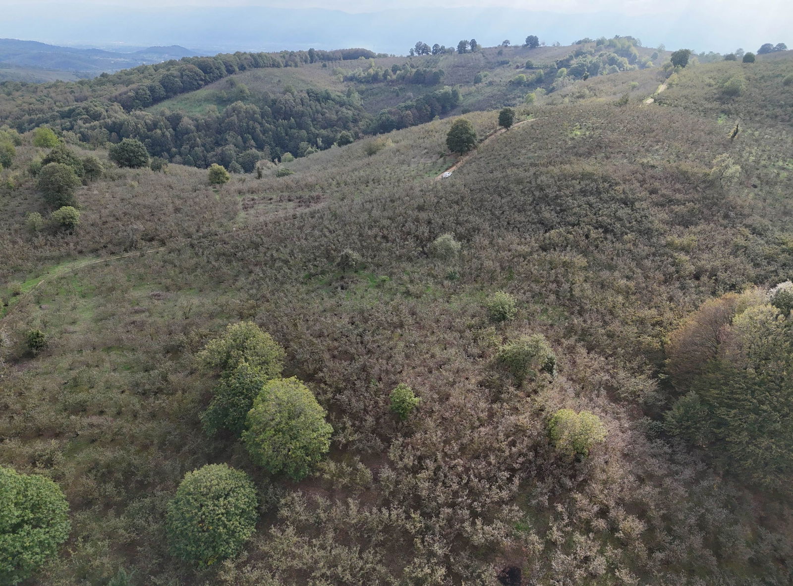 GÜLDERE KÖYÜ'NDE 5778 M2 SATILIK ARSA