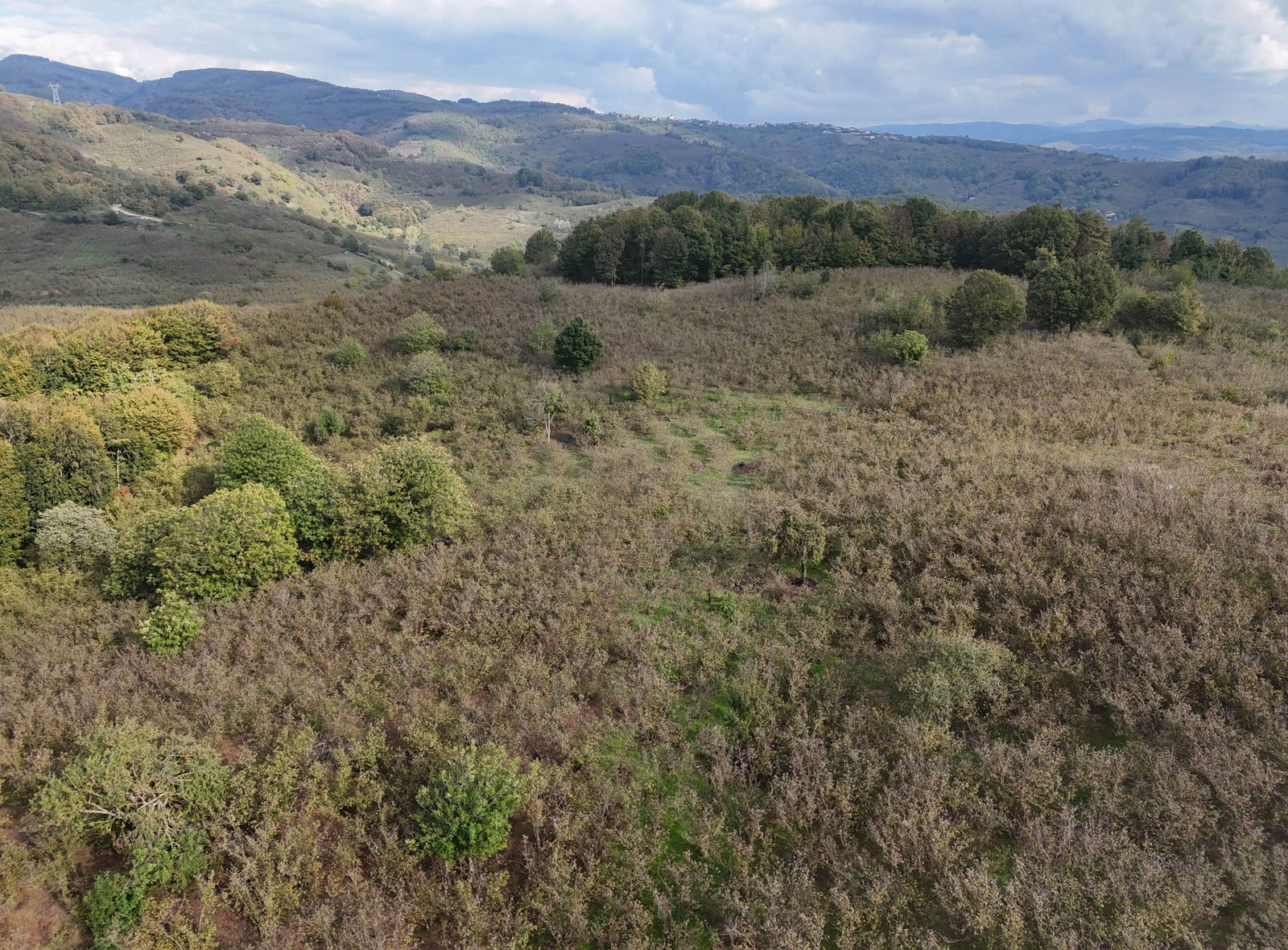 GÜLDERE KÖYÜ'NDE 5778 M2 SATILIK ARSA
