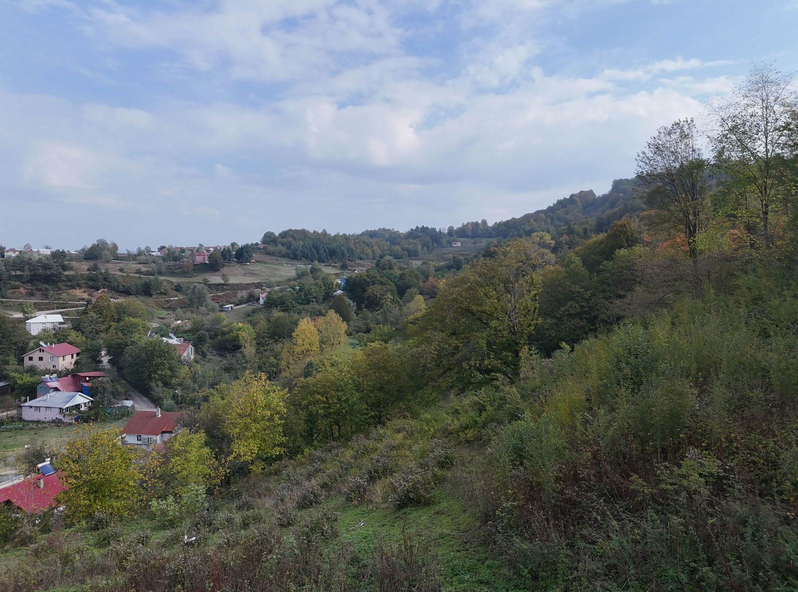 KAYNAŞLI DİPSİZGÖL'DE 976 - 1496 M2 ARASINDA SATILIK PARSELLER