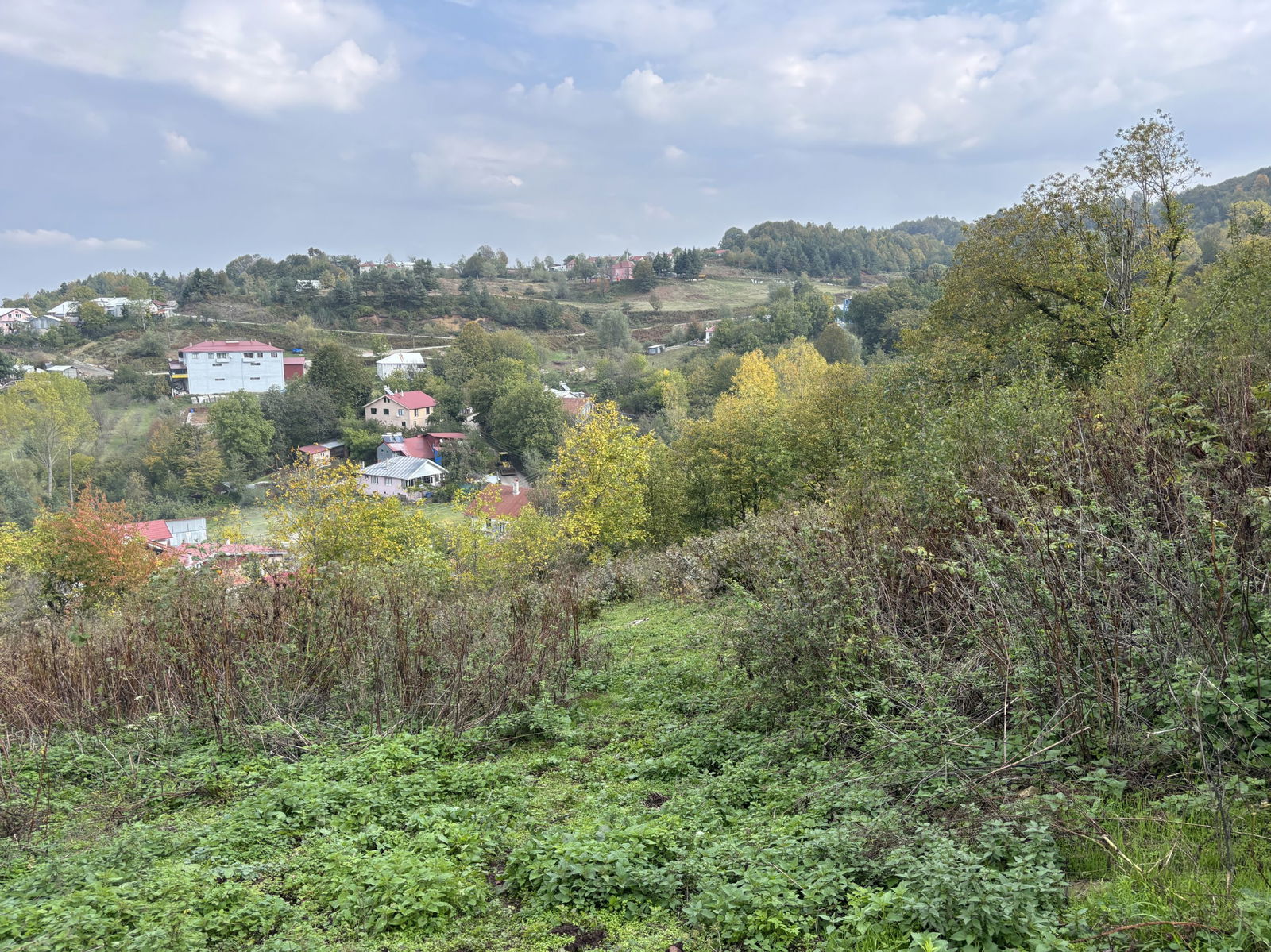 KAYNAŞLI DİPSİZGÖL'DE 976 - 1496 M2 ARASINDA SATILIK PARSELLER