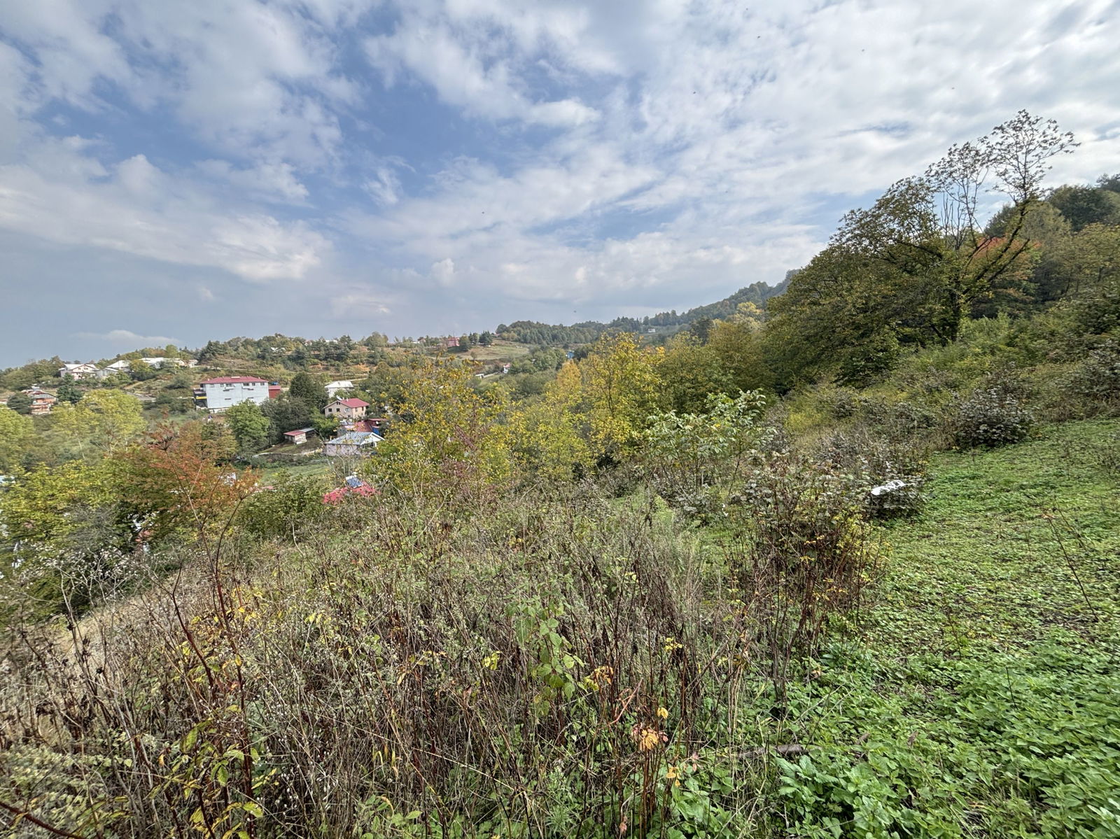 KAYNAŞLI DİPSİZGÖL'DE 976 - 1496 M2 ARASINDA SATILIK PARSELLER