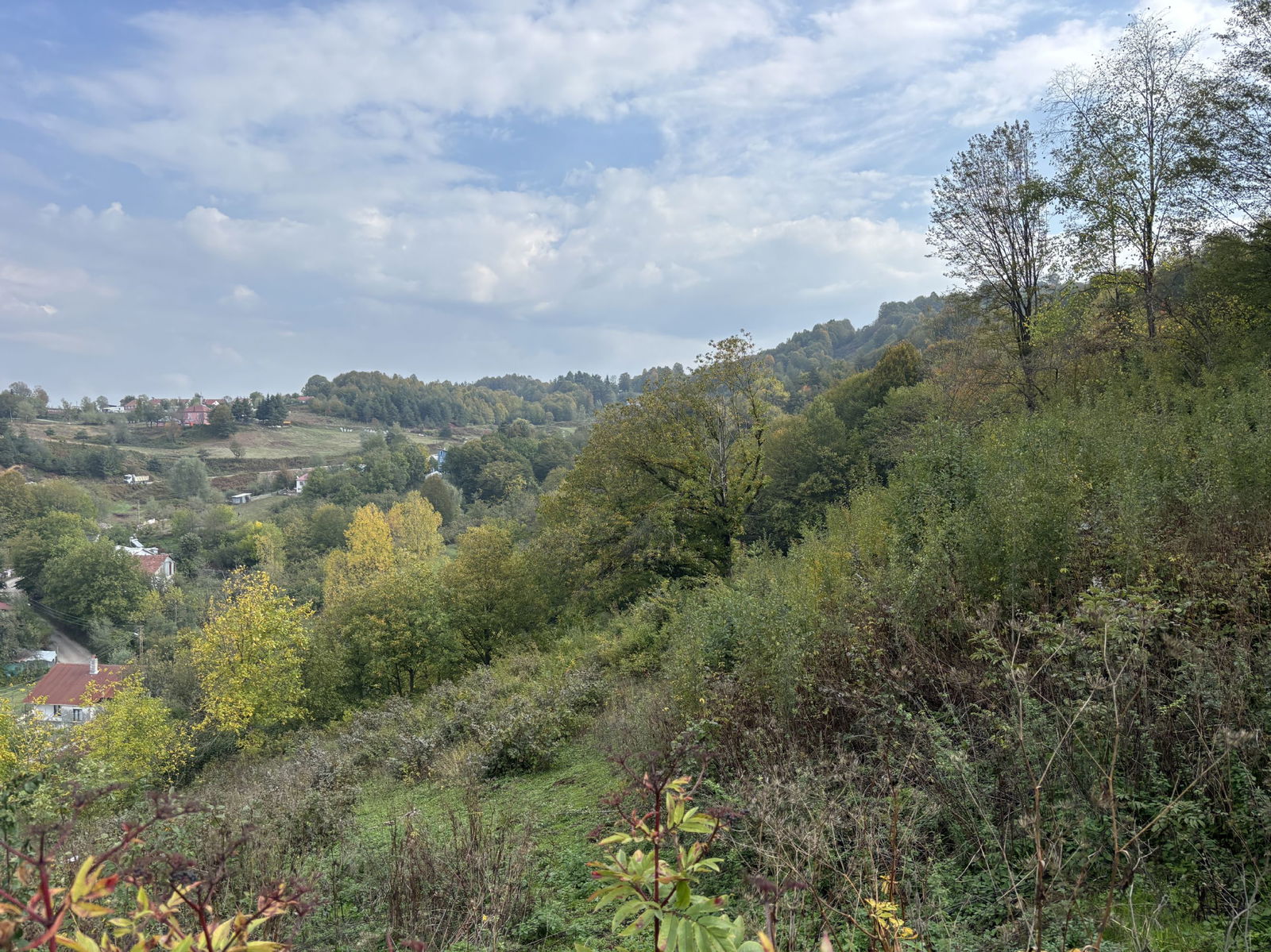 KAYNAŞLI DİPSİZGÖL'DE 976 - 1496 M2 ARASINDA SATILIK PARSELLER