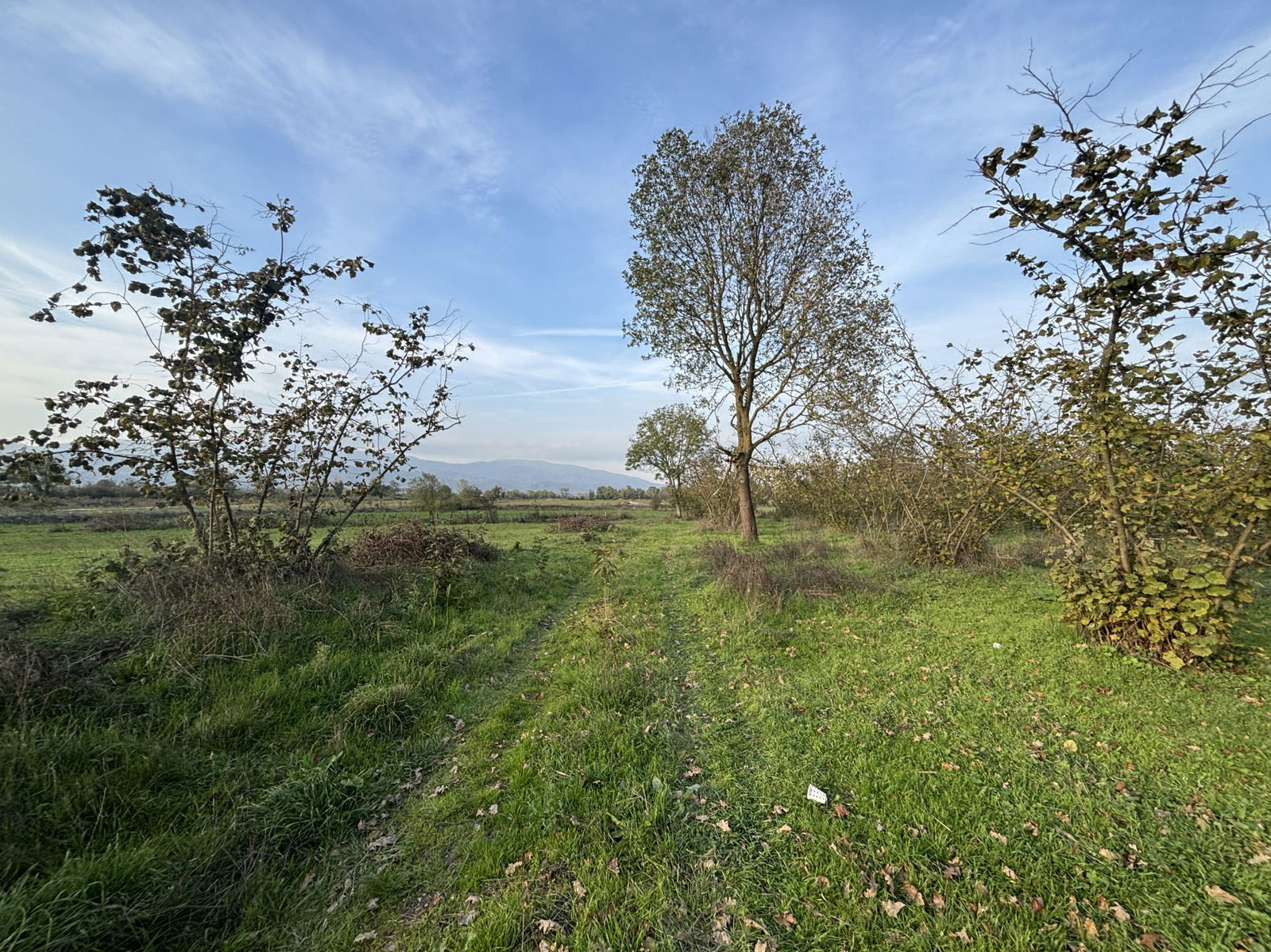 Satılık Arsa 16,500,000 TL