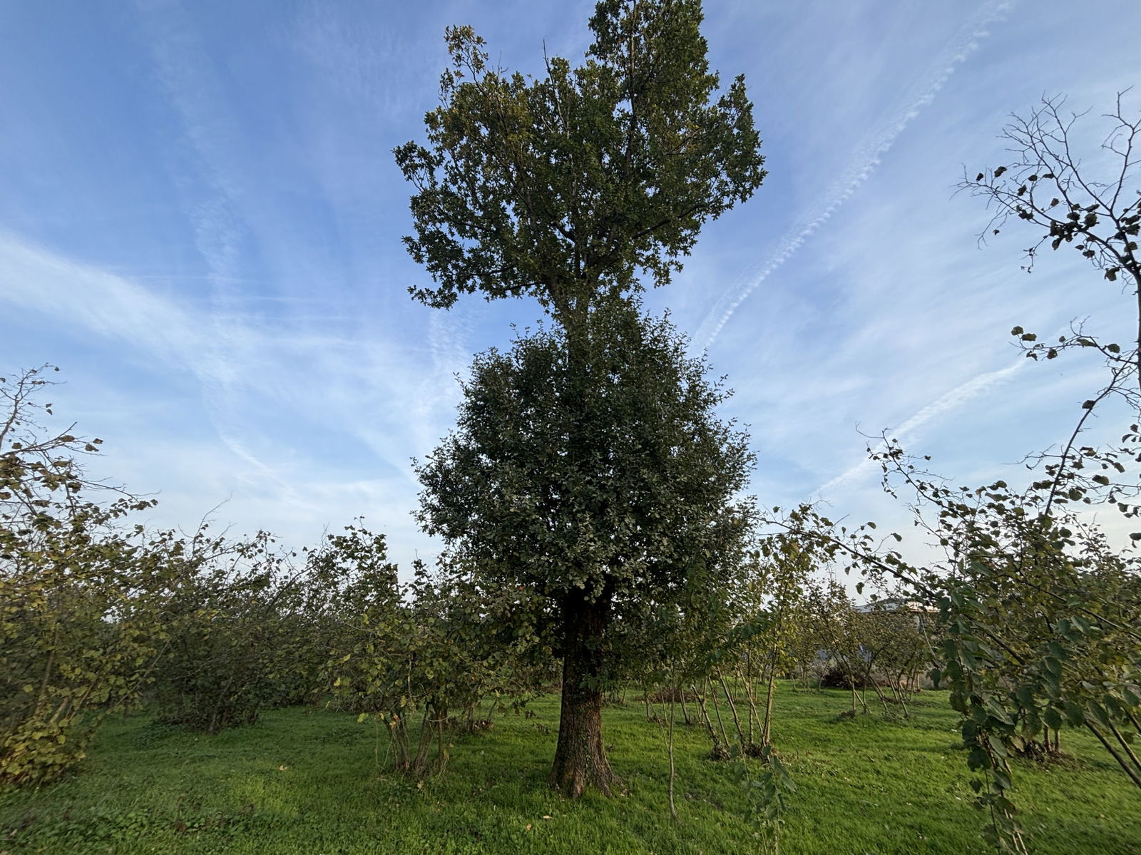 Satılık Arsa 16,500,000 TL