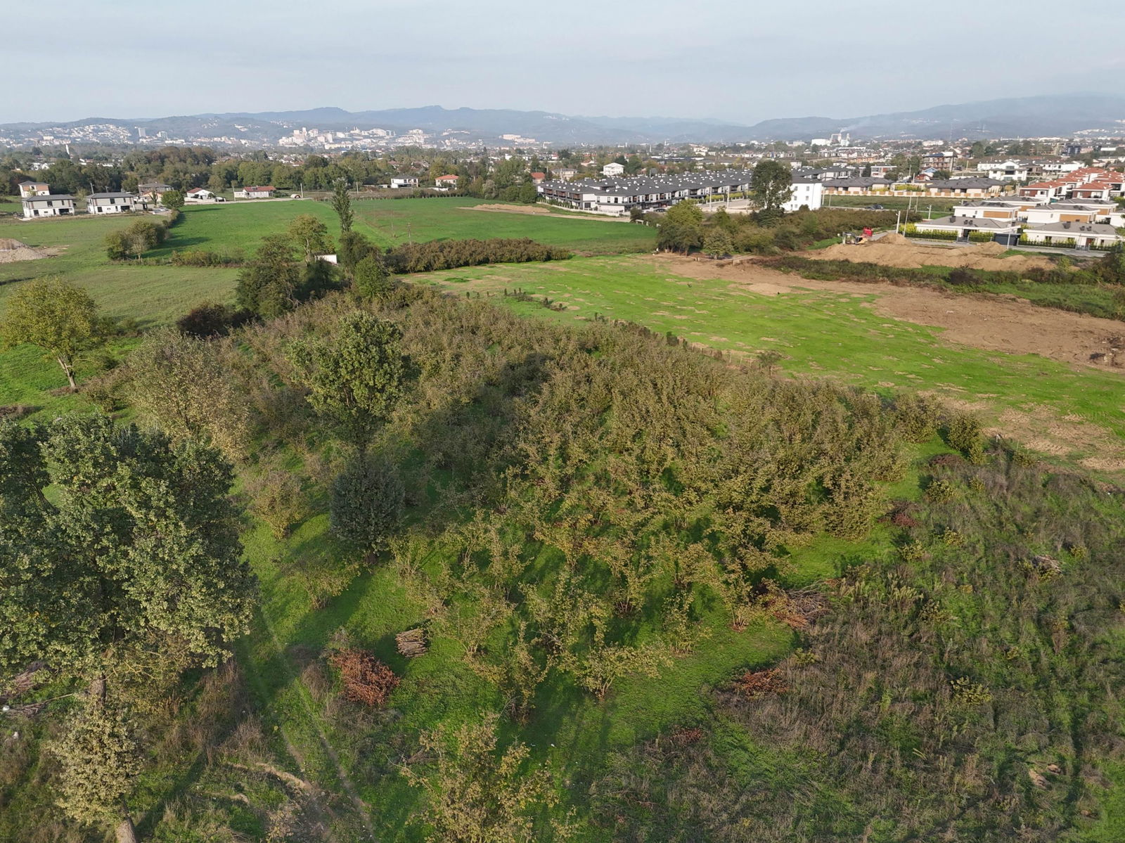 SARAYYERİ MAHALLESİ'NDE 2050 M2 SATILIK ARSA